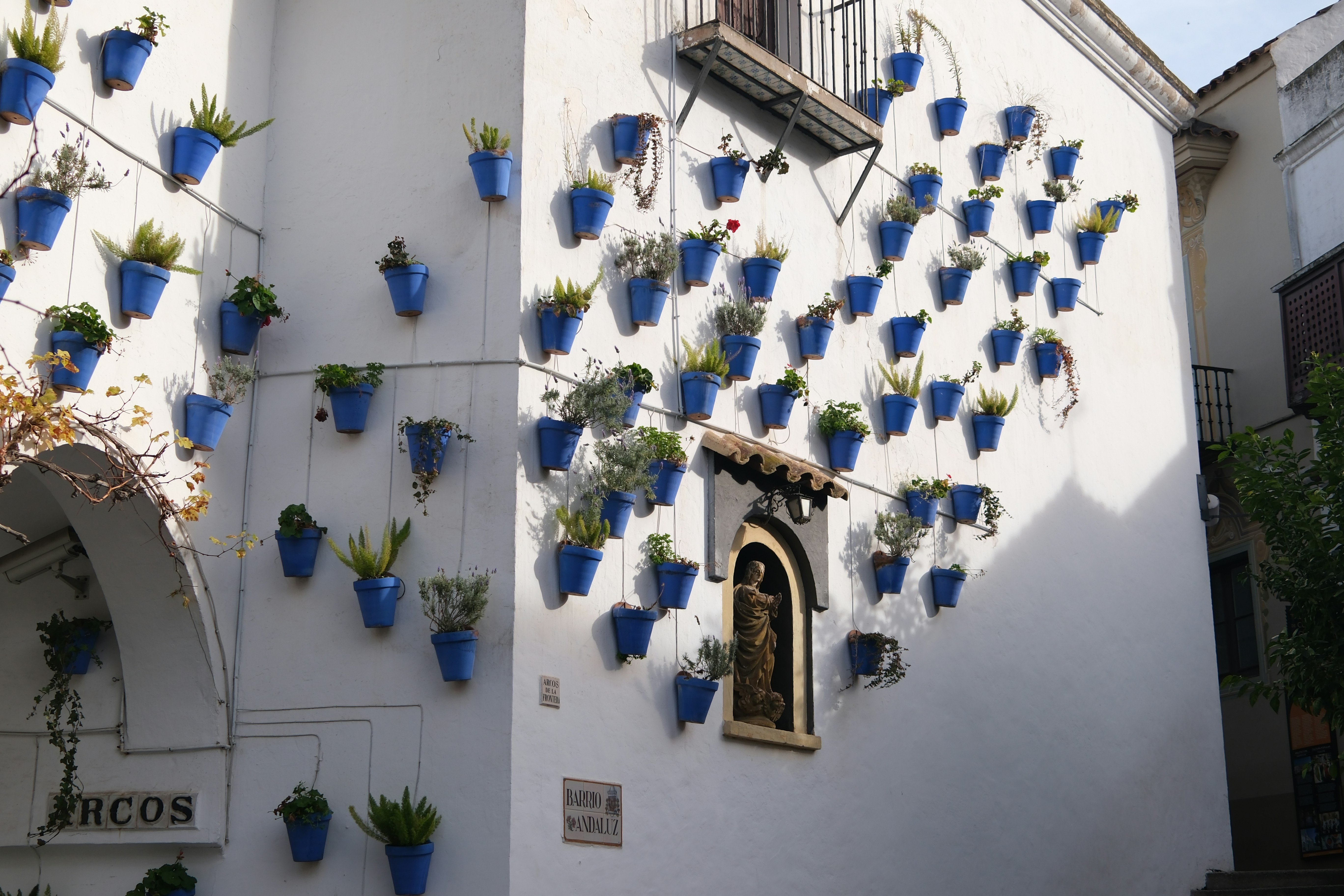 Carlos Poles Floristeria