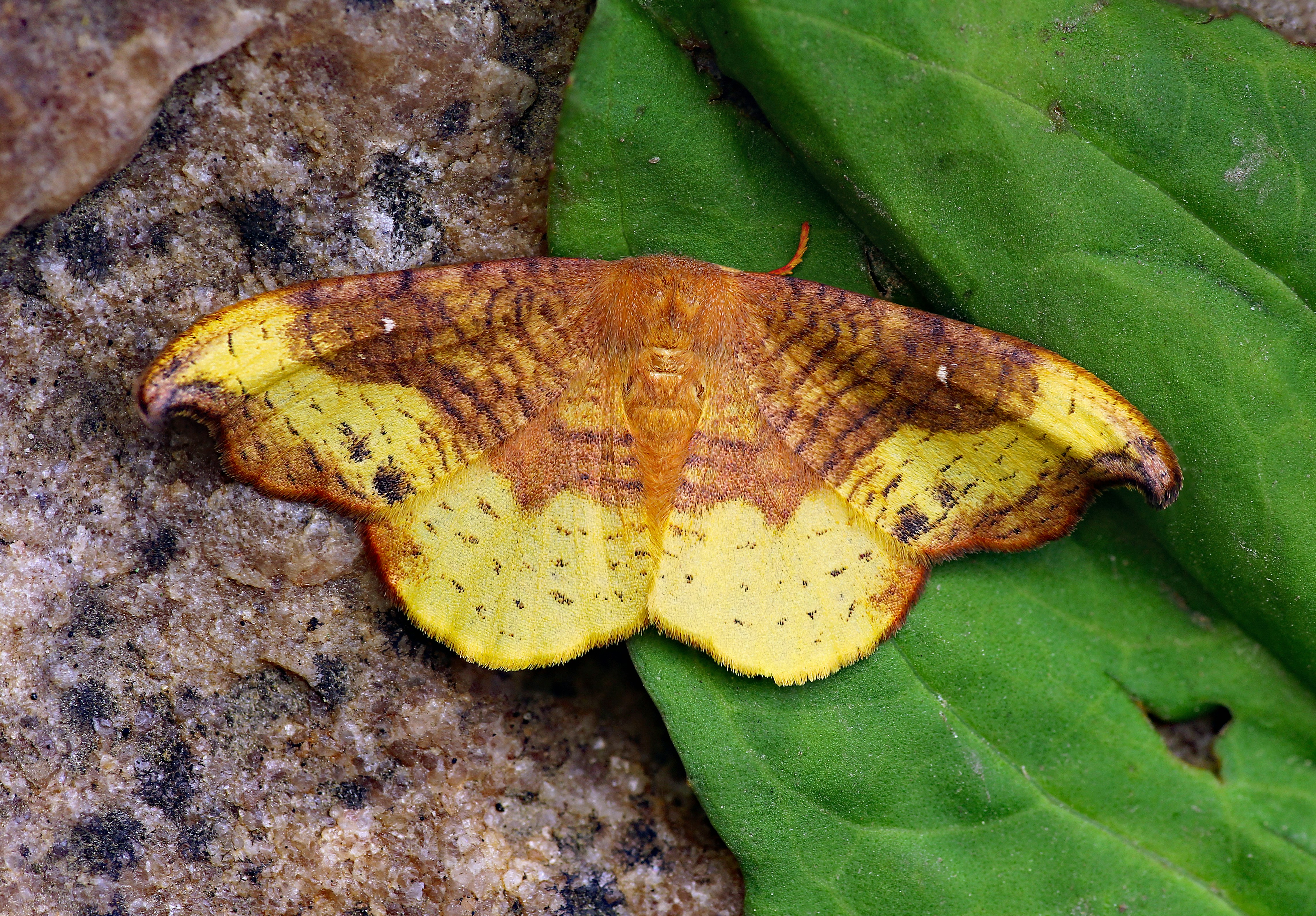 Photo by telliottmbamsc