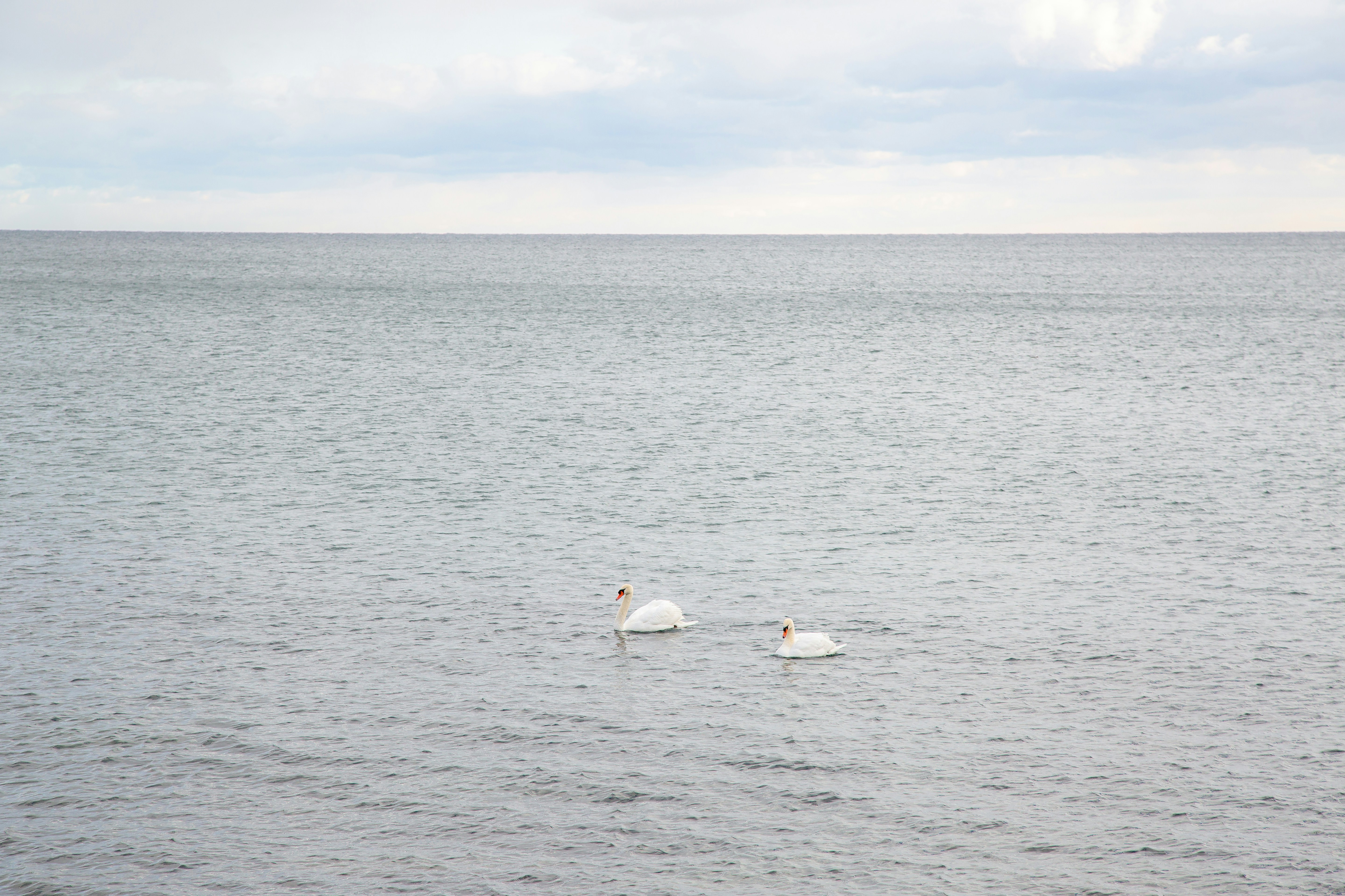 Photo by sofiatheexplorer