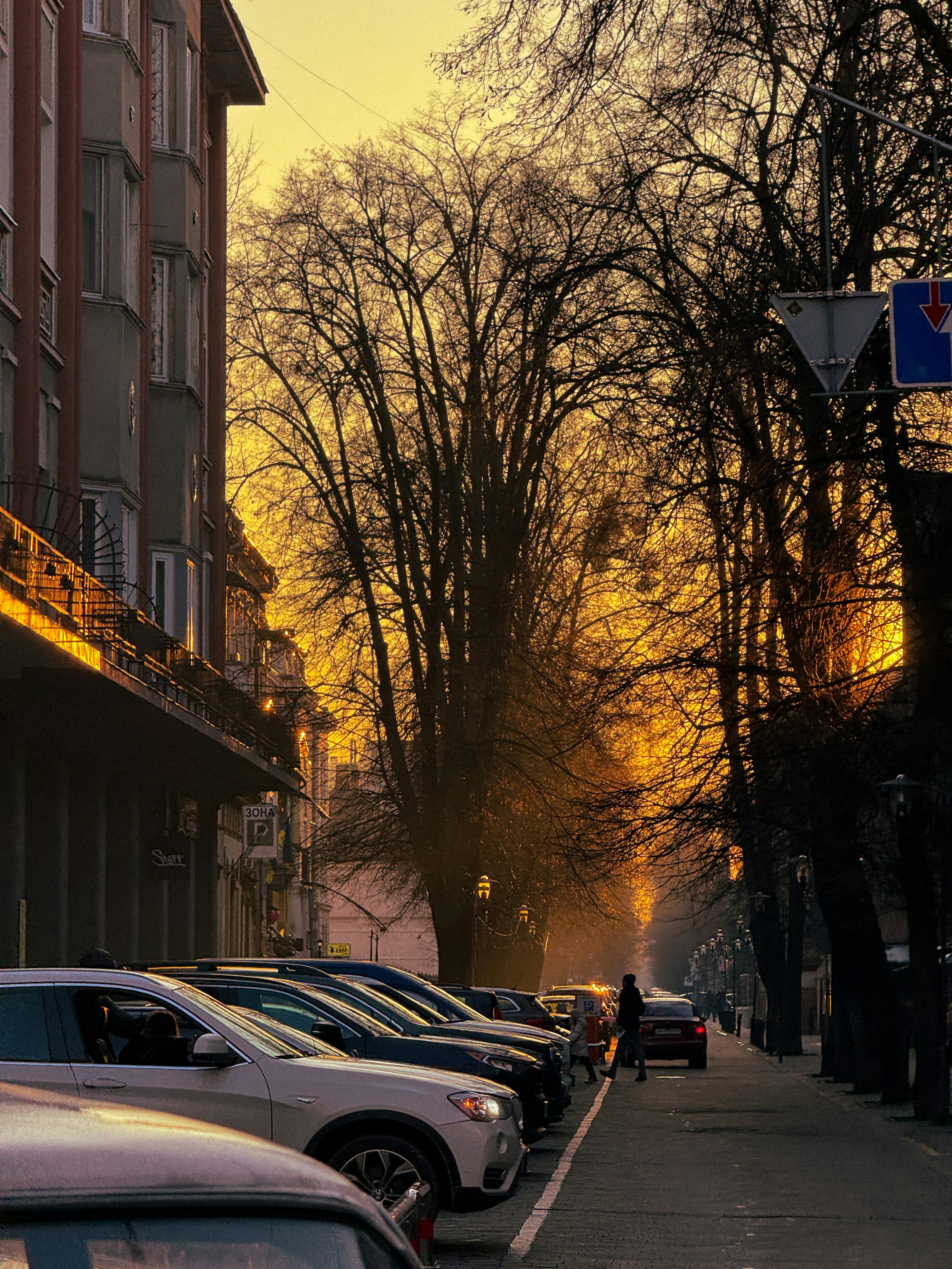 A row of parked cars on a city street