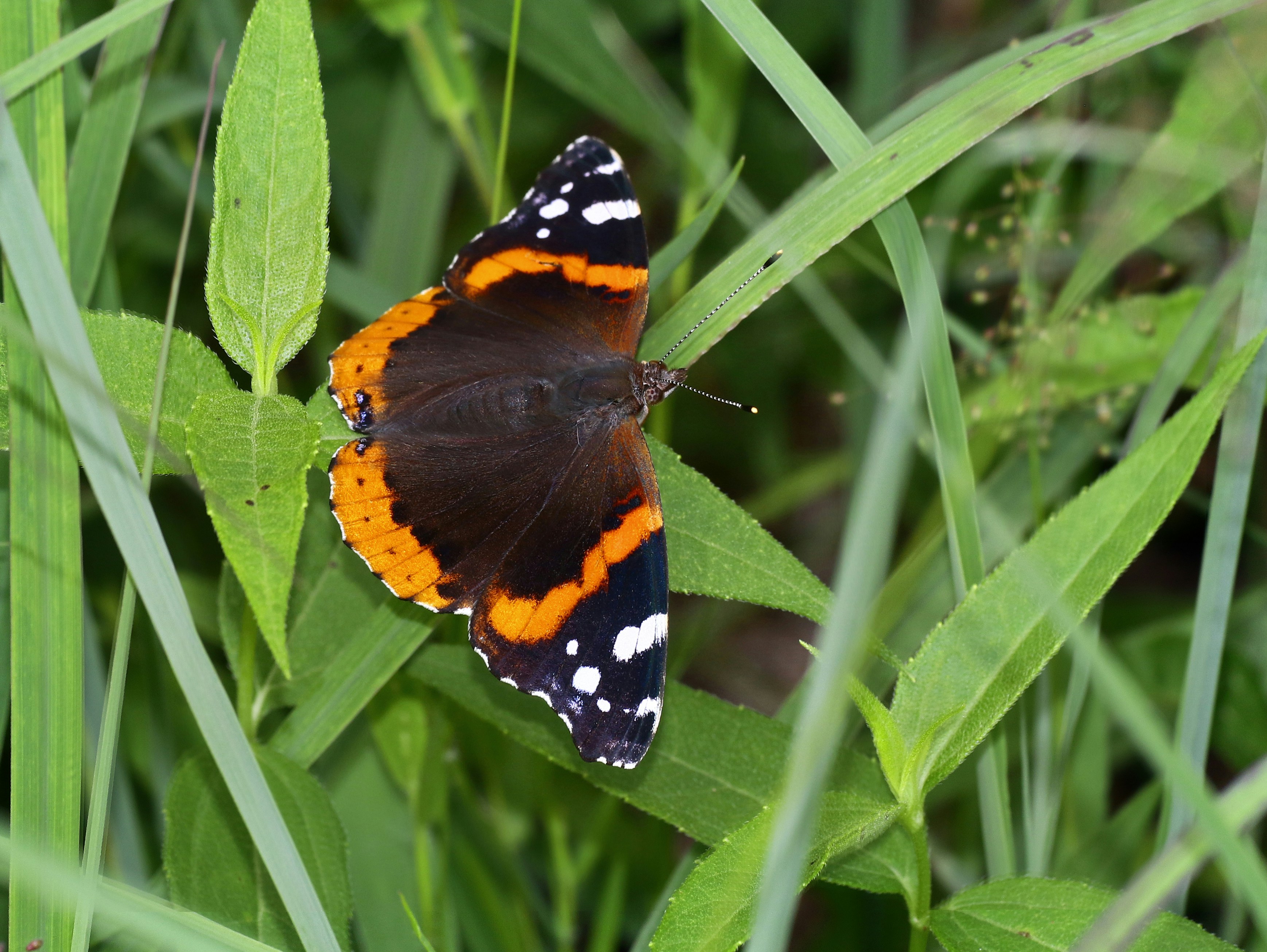 Photo by telliottmbamsc