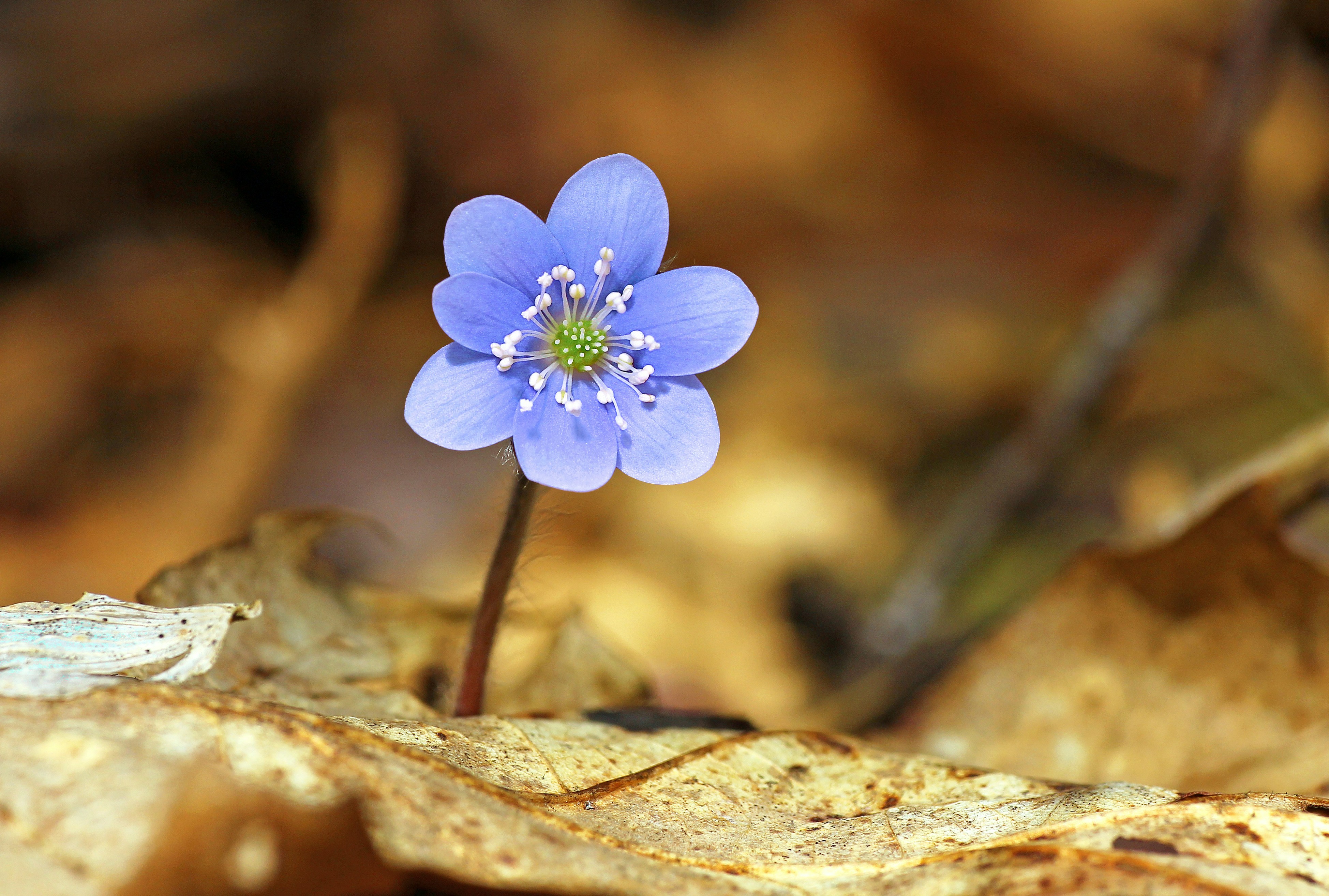 Photo by telliottmbamsc