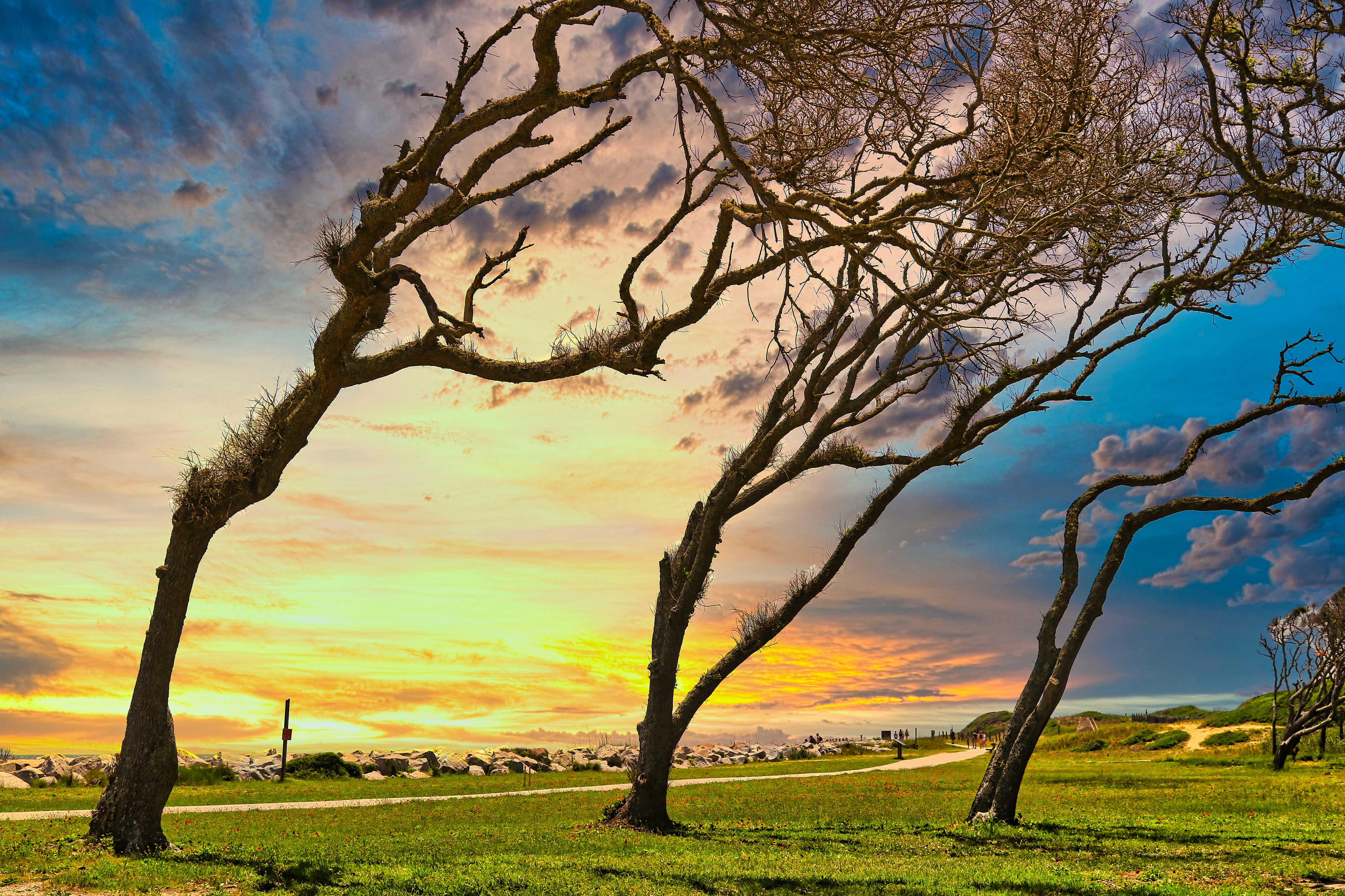 Photo by john_cardamone