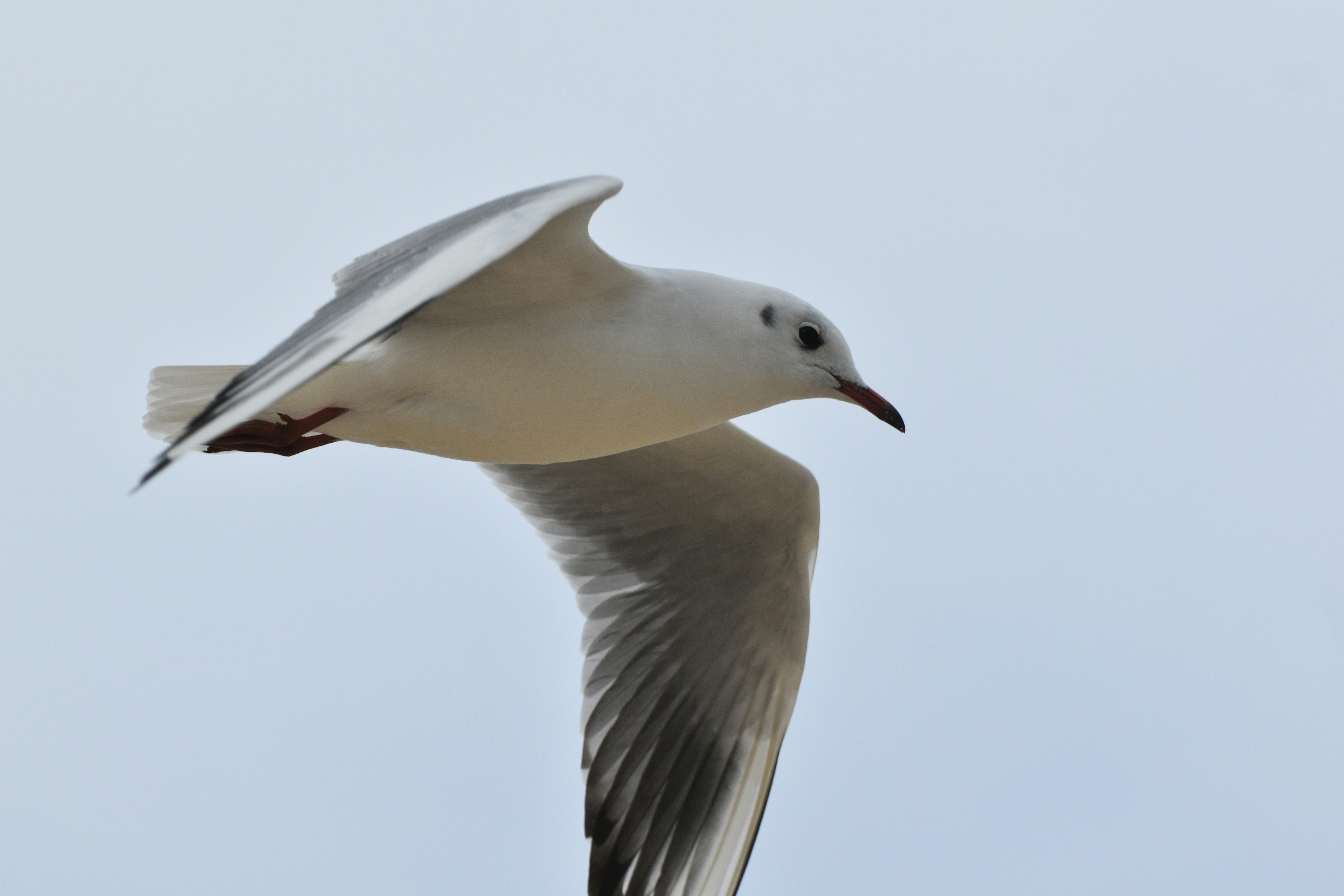 Photo by niloufarmirhadi