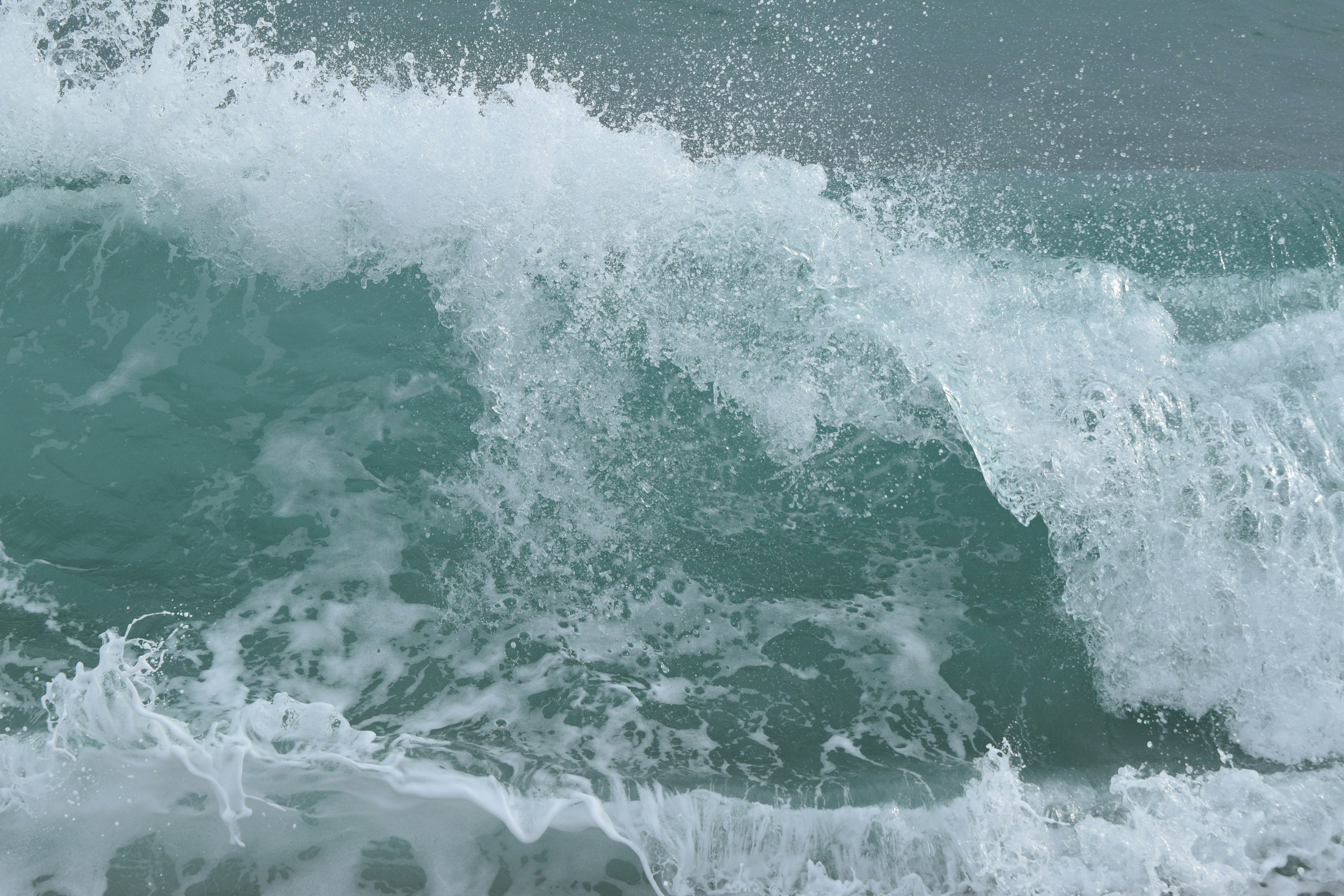 Photo by niloufarmirhadi