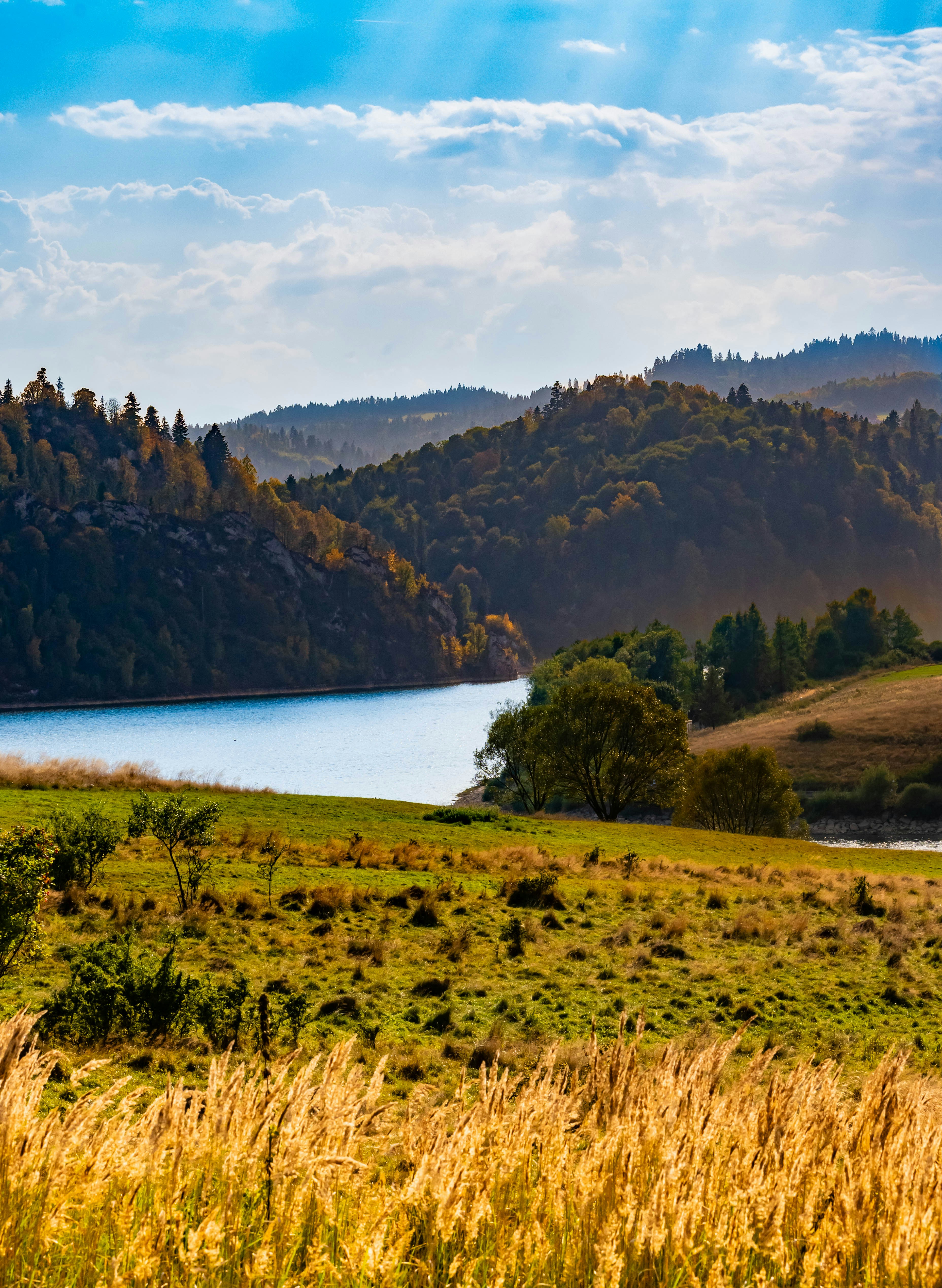 A grassy field with a lake in the background