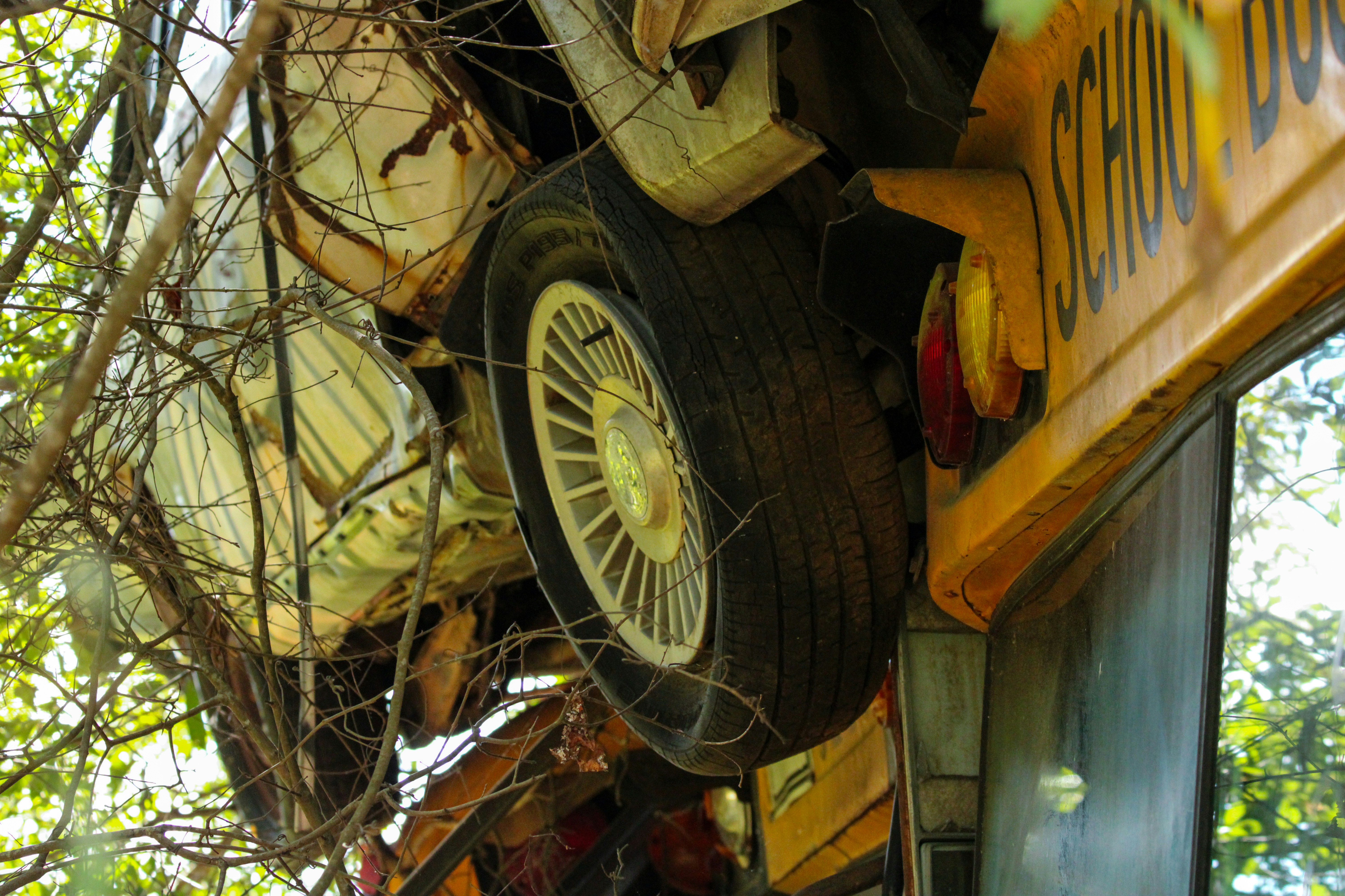 A school bus that has been flipped over in a tree