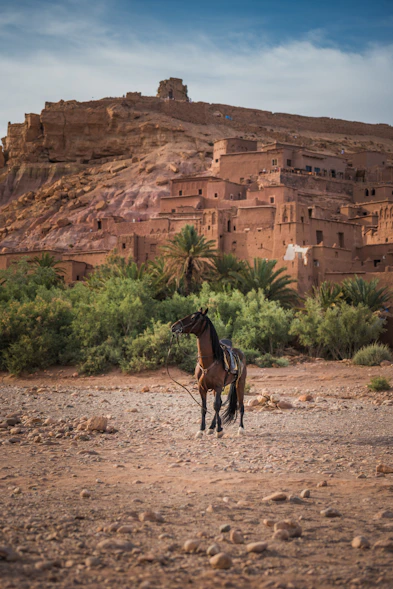 Take a Break in Ouarzazate — Where the Desert Journey Begins
