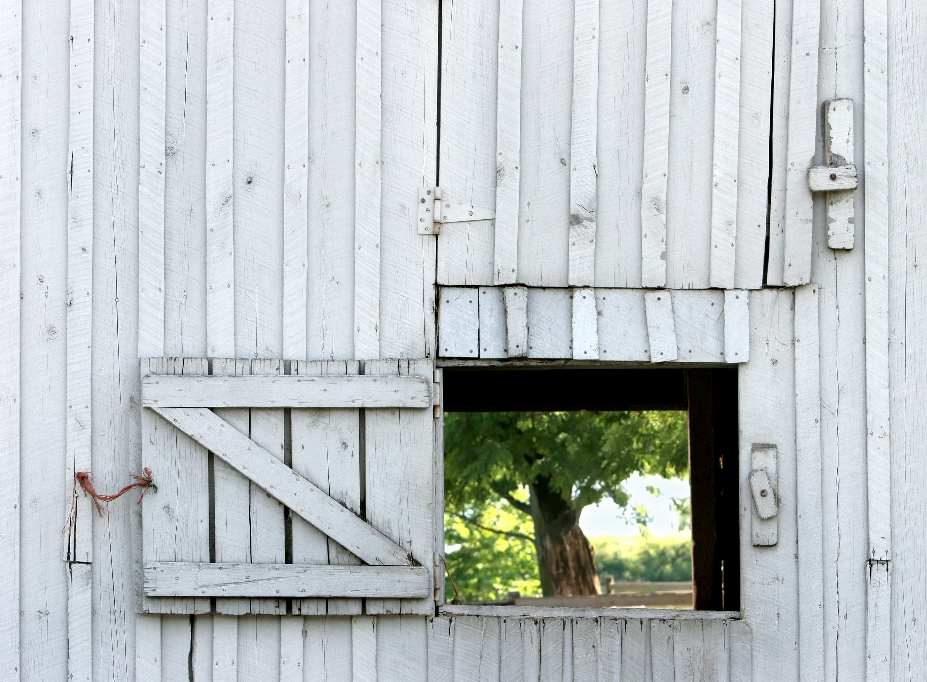 Photo by john_cardamone