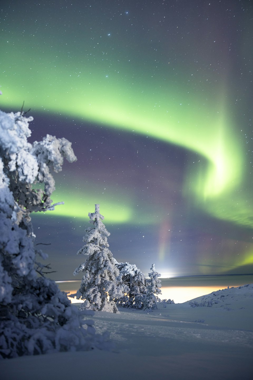 Green and purple aurora borealis over a snow-covered forest in Finnish Lapland