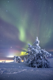 A snowy landscape with a tree covered in snow and an aurora light in the background