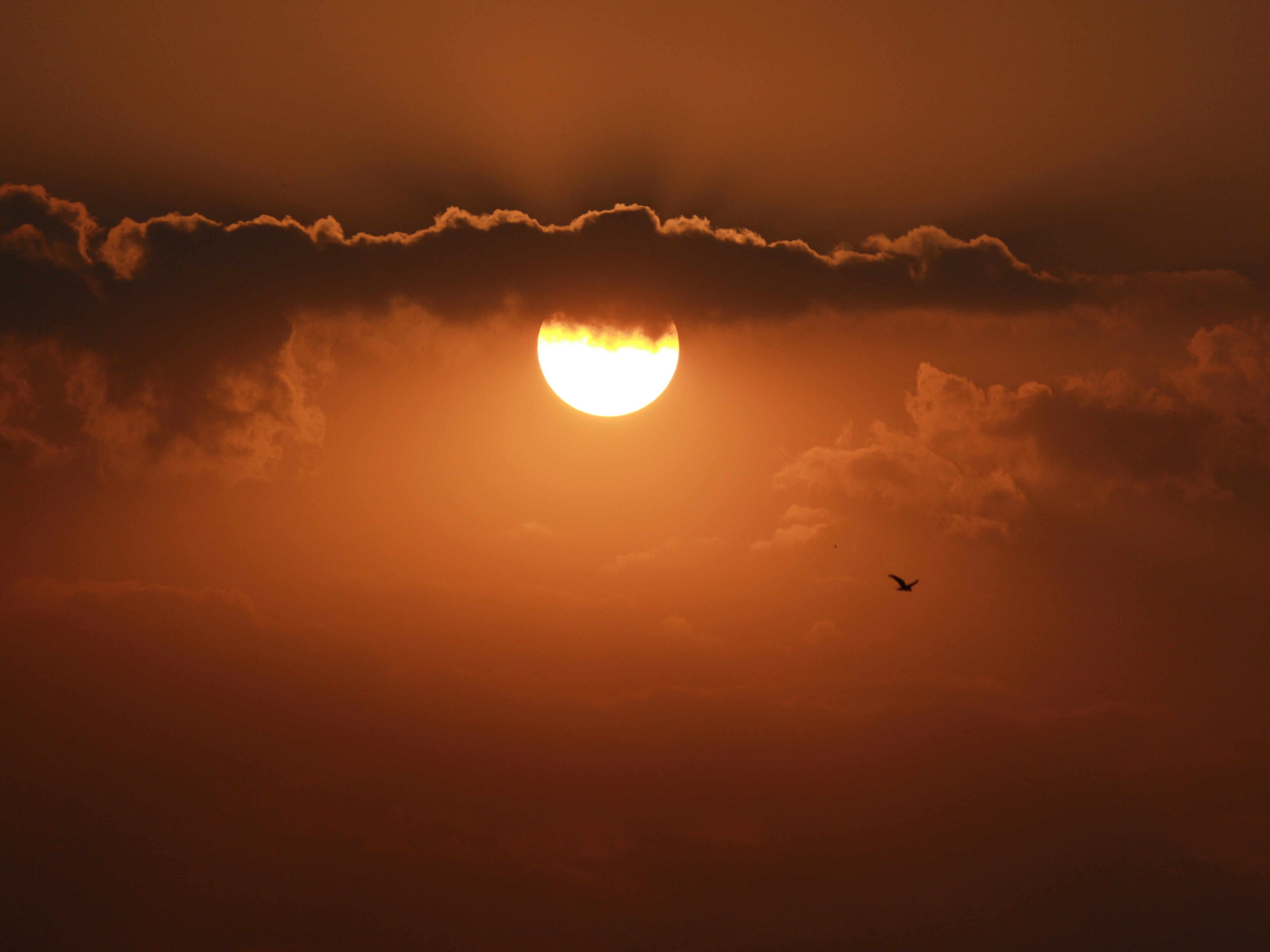 Photo by saiteja_varma