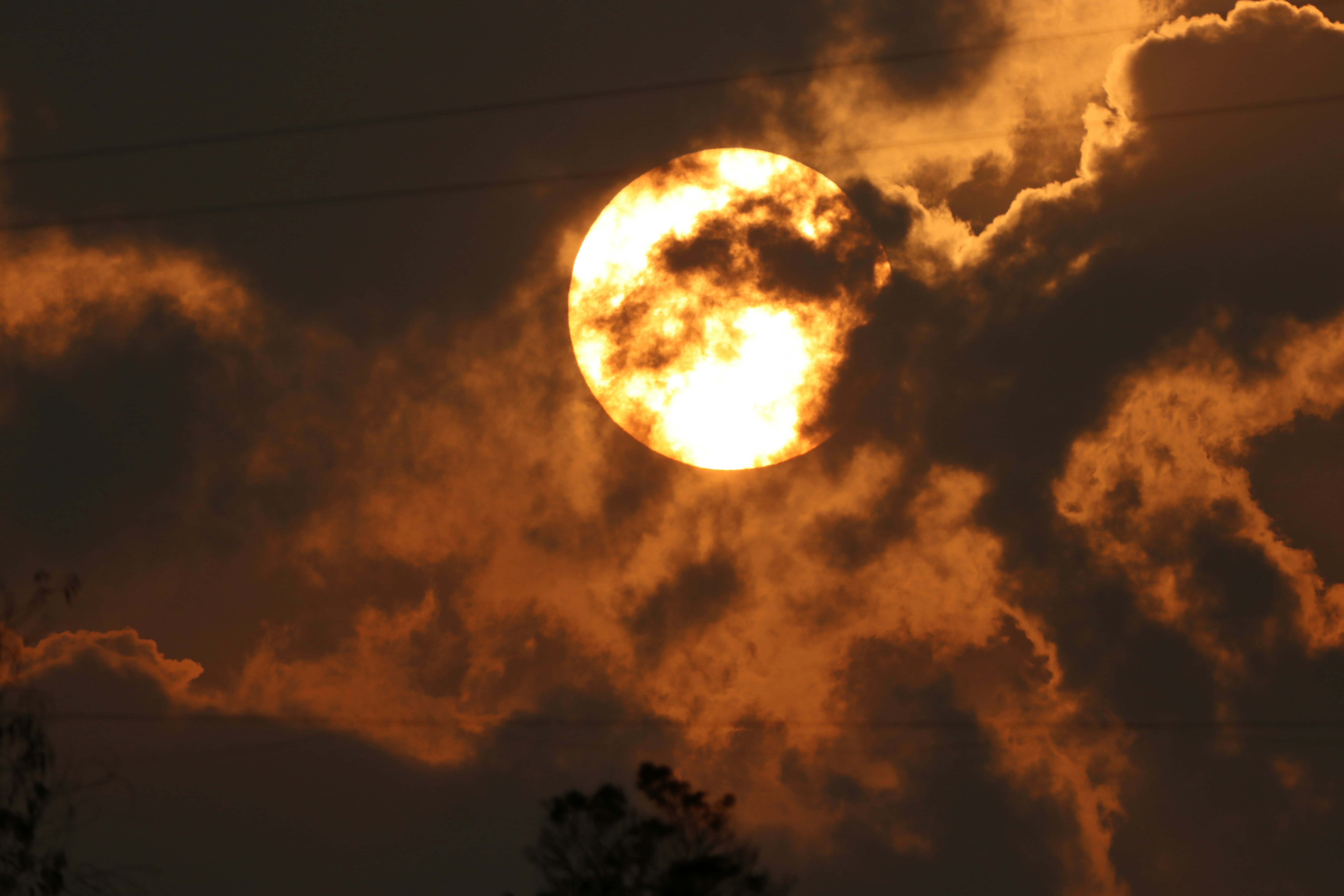 Photo by saiteja_varma