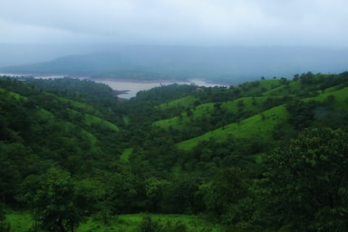A view of a lush green hillside with a lake in the distance