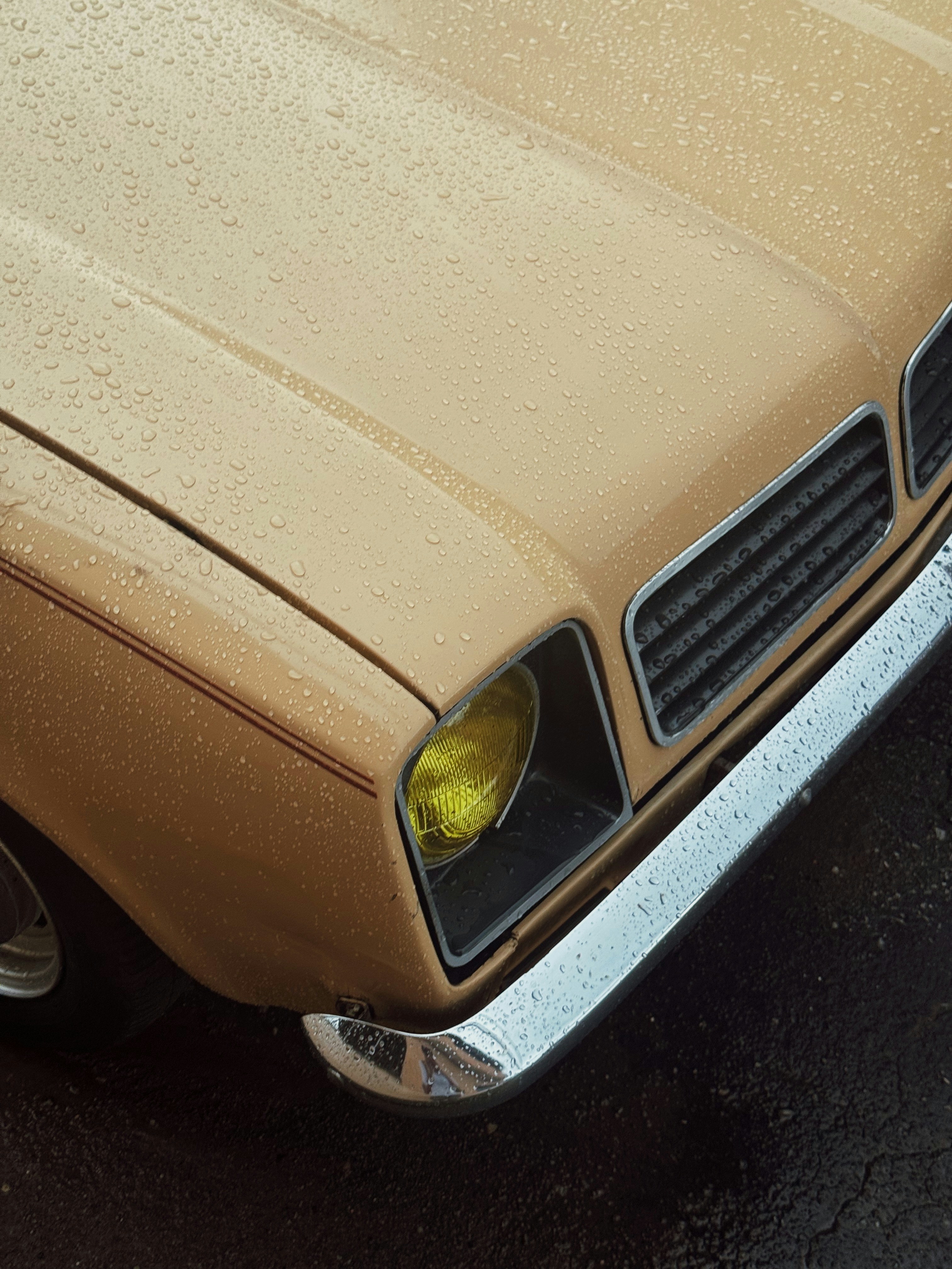 Photo by diasincriveisvirao