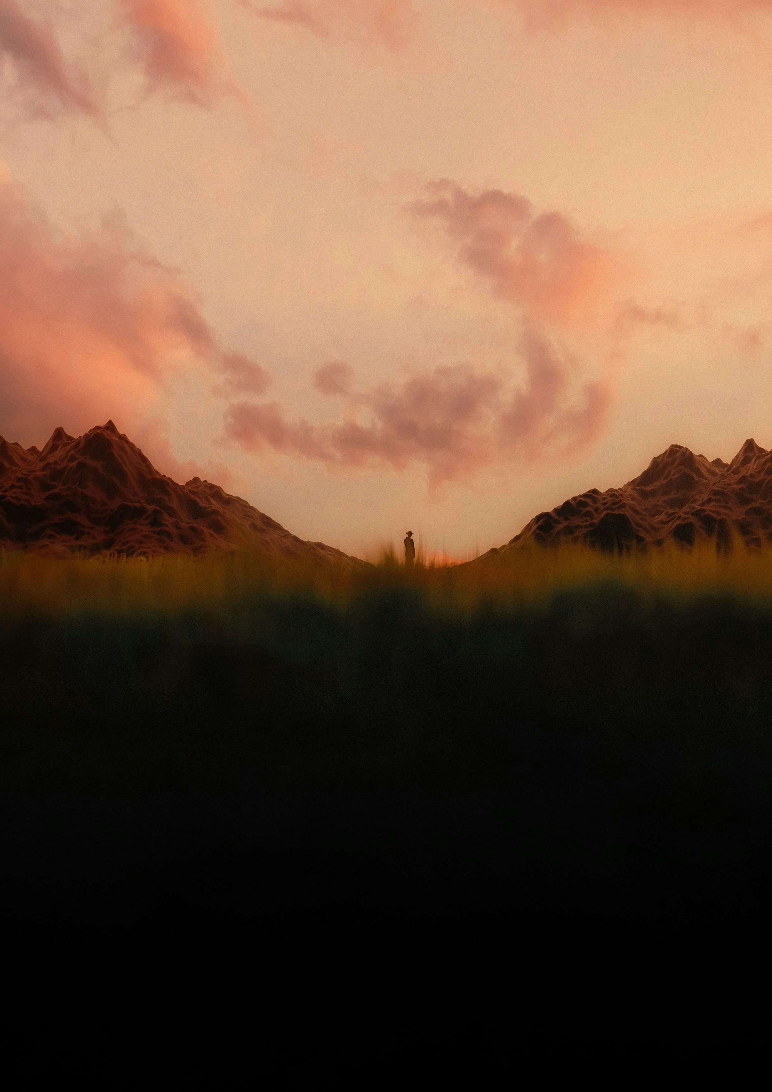 A field with mountains in the background under a cloudy sky