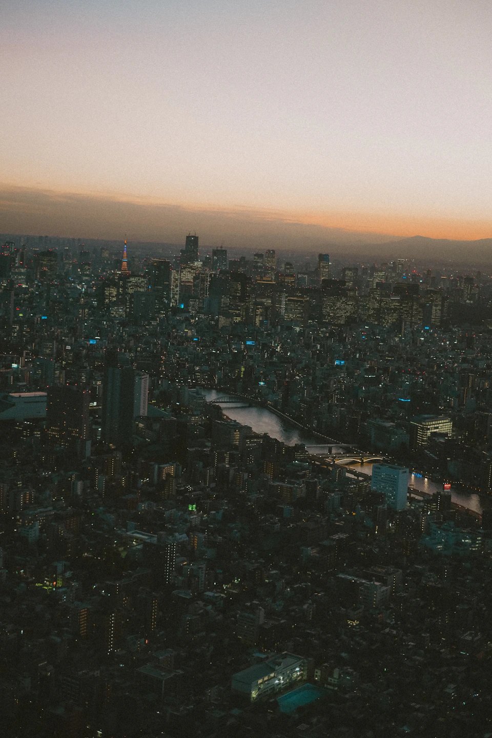 Densely populated city at dusk with buildings illuminated by artificial lights against darkening sky
