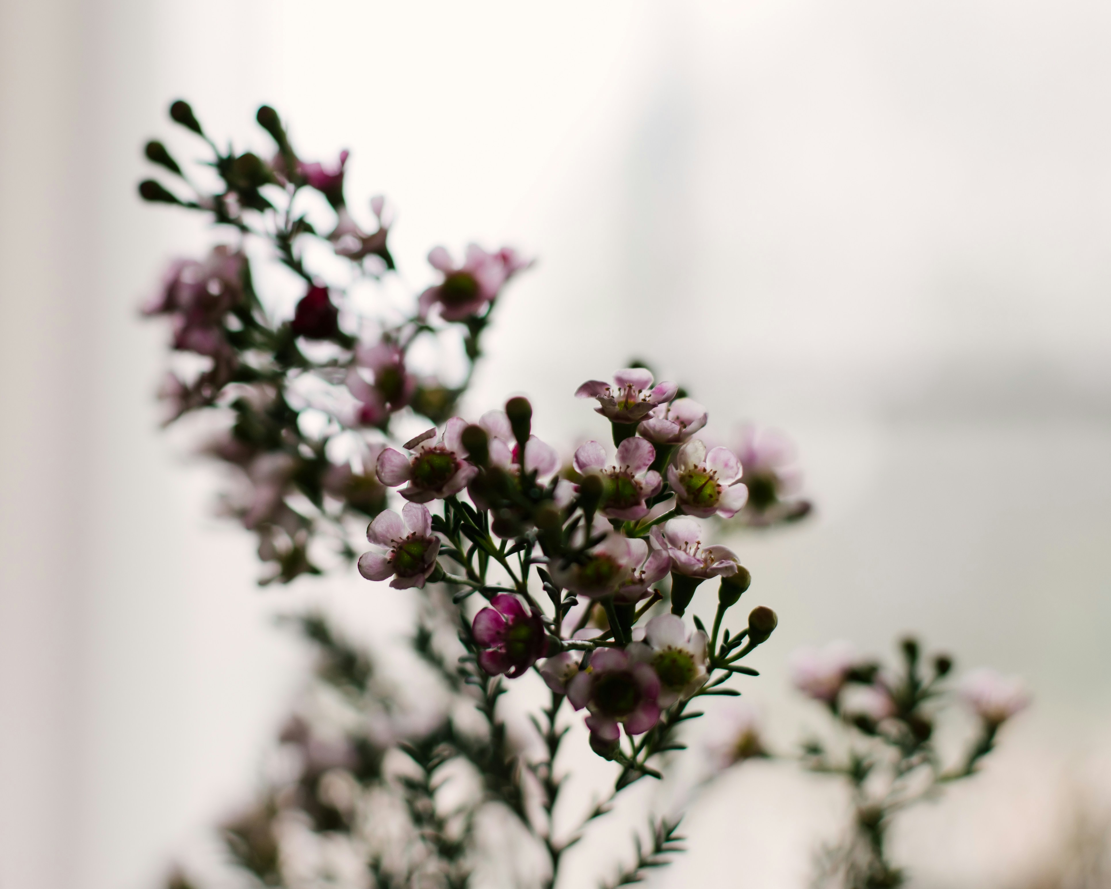 Photo by sixteenmilesout