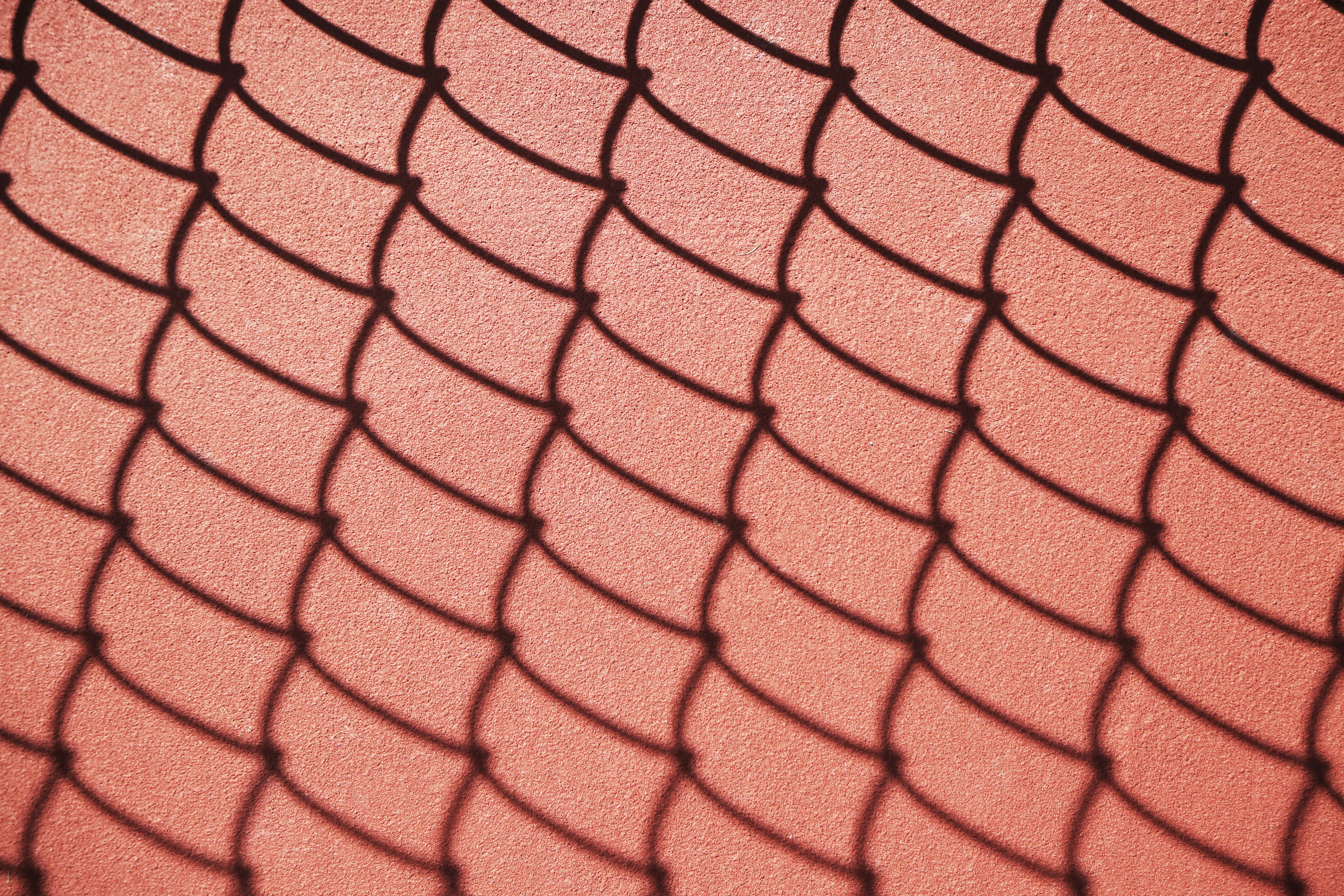 Photo by giorgiotrovato