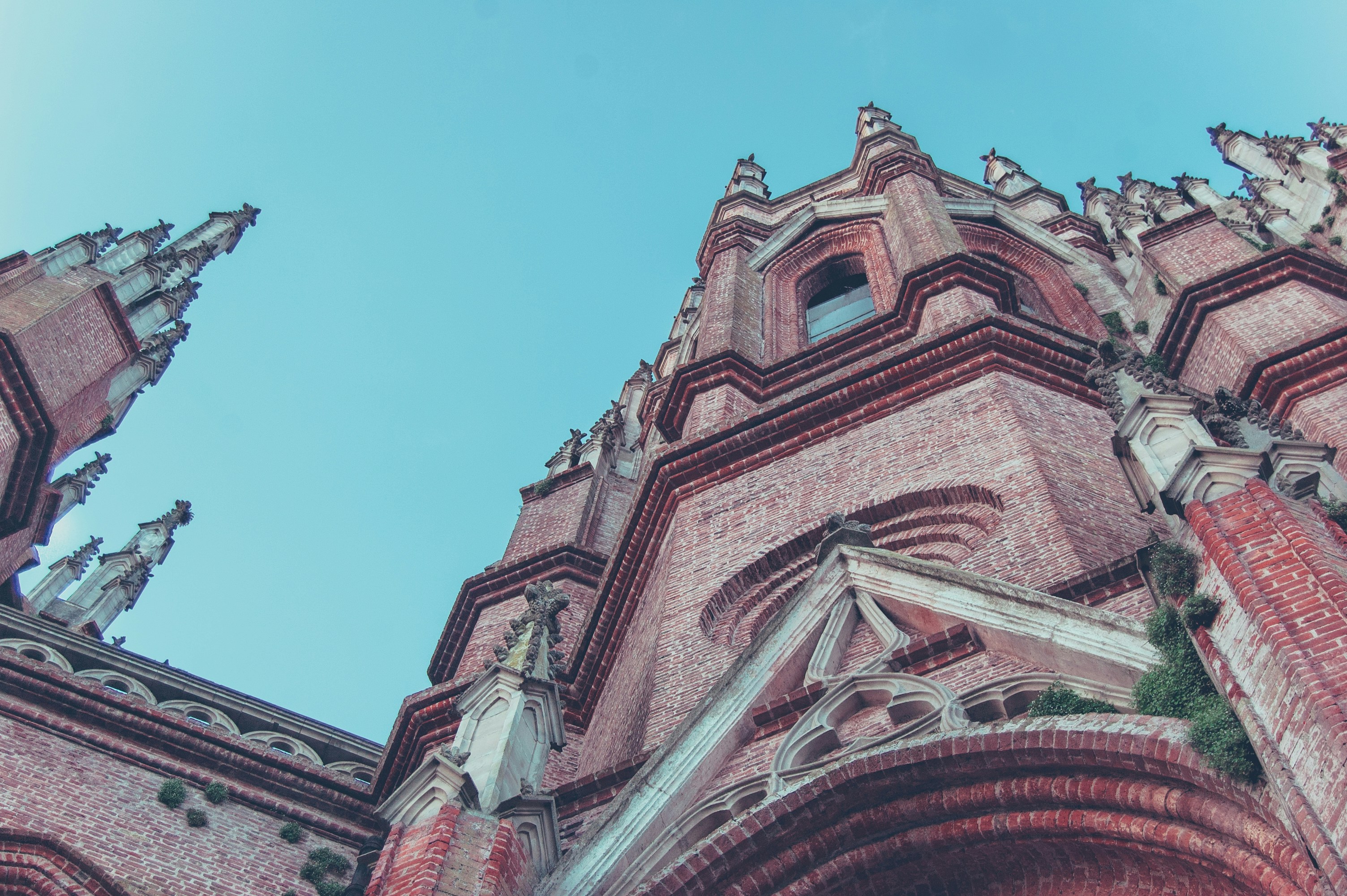 Photo by gabriela_parra