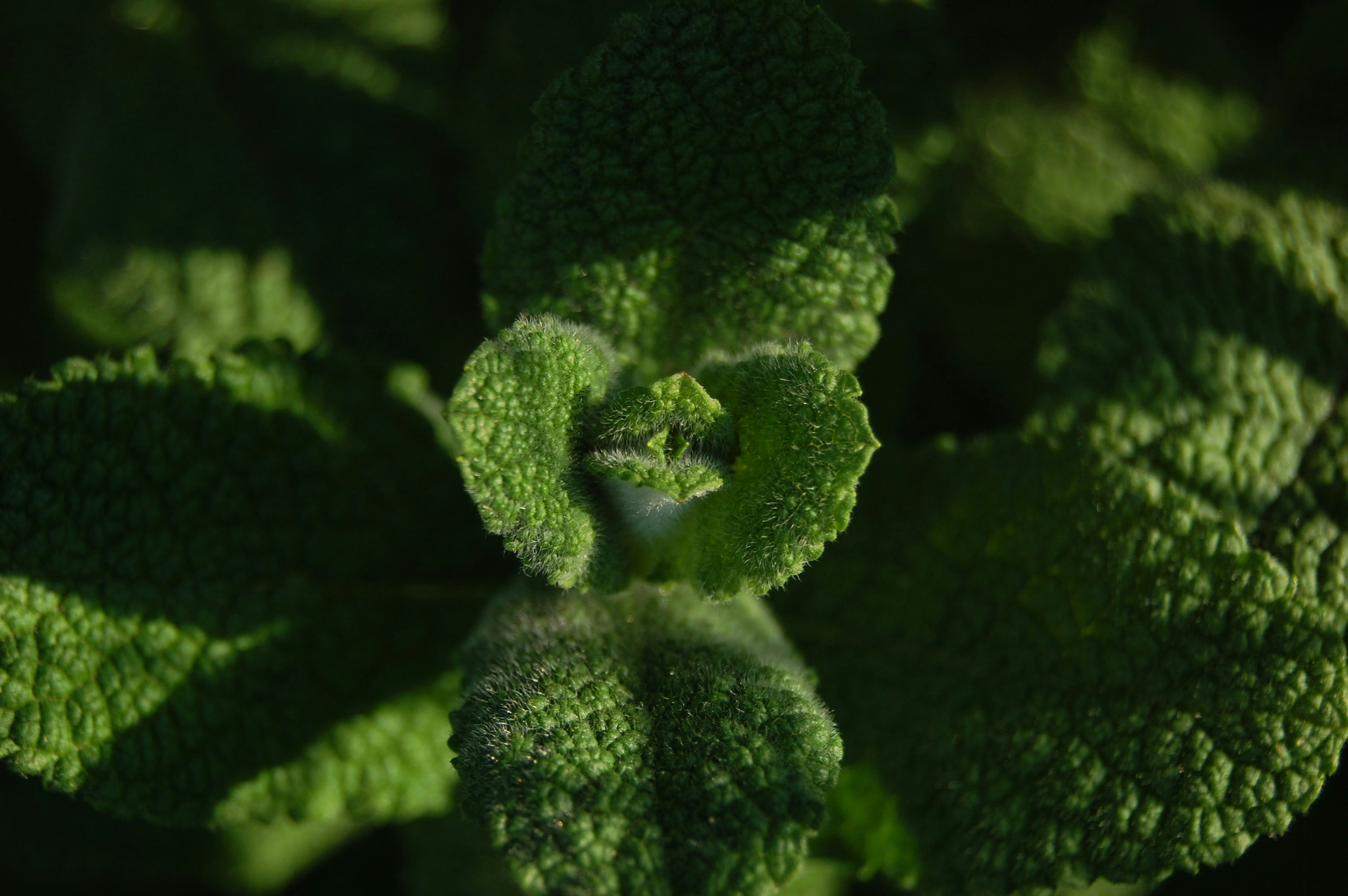 Photo by gabriela_parra