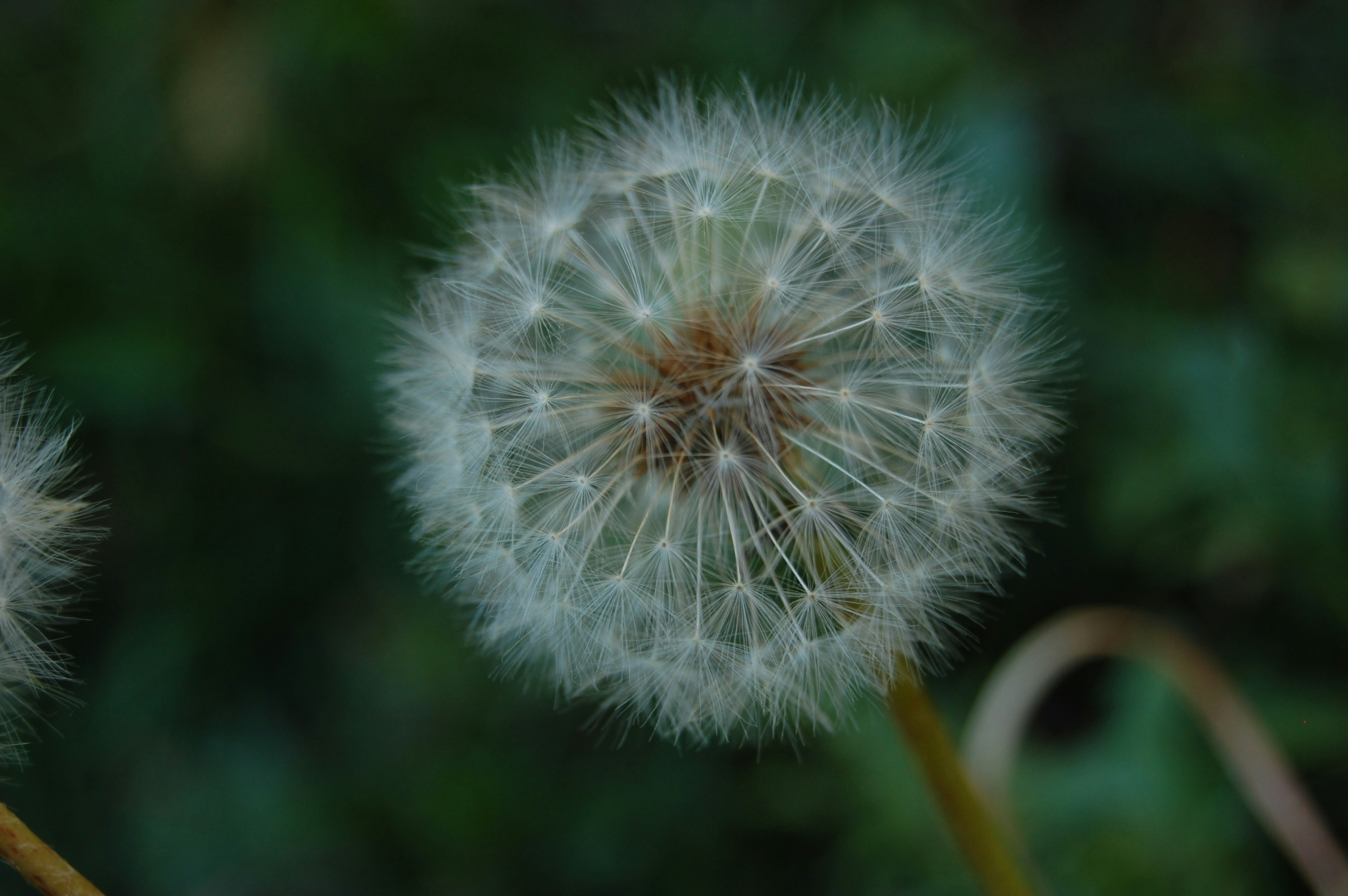 Photo by gabriela_parra