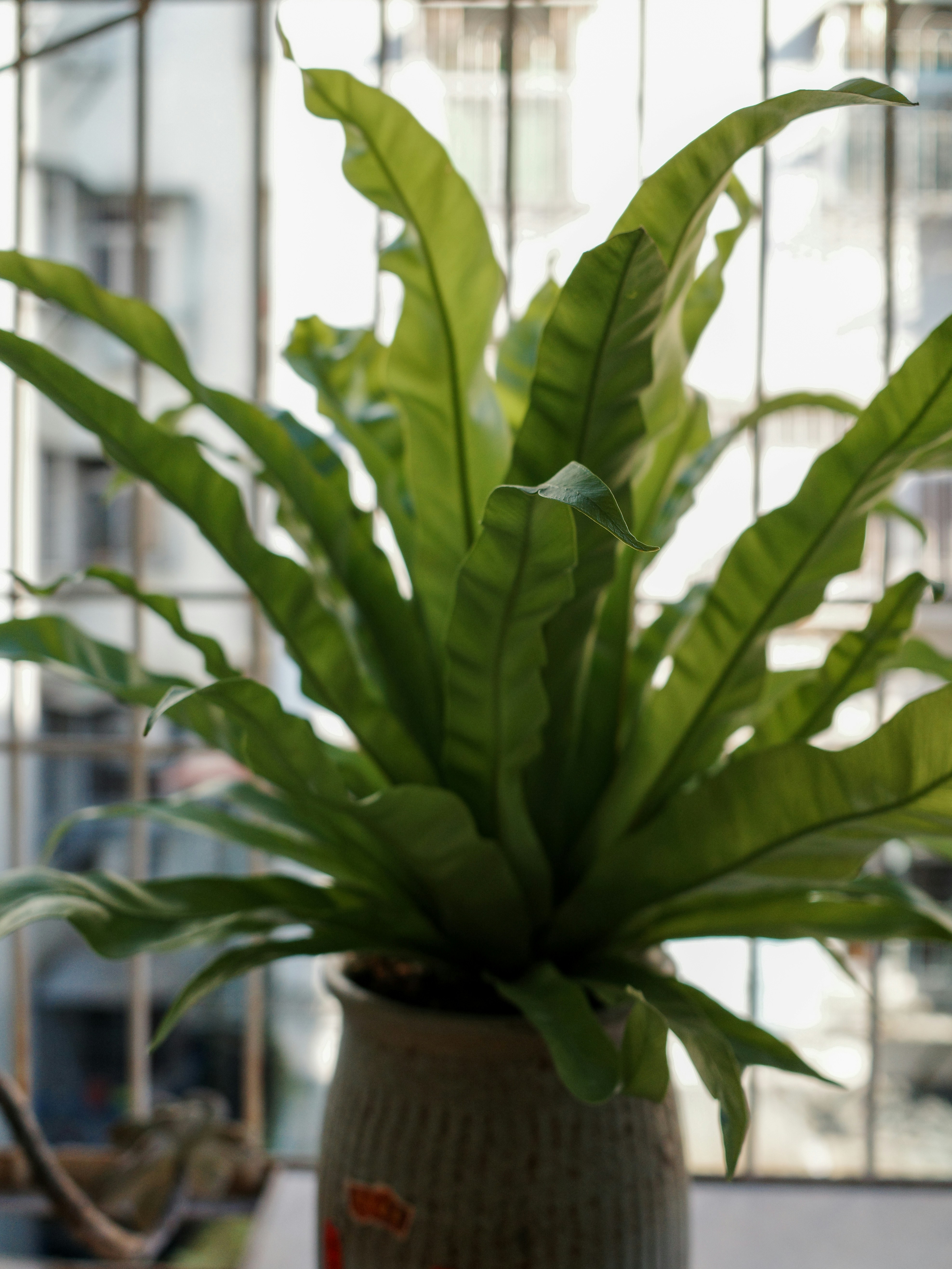 Photo by dickenslin76