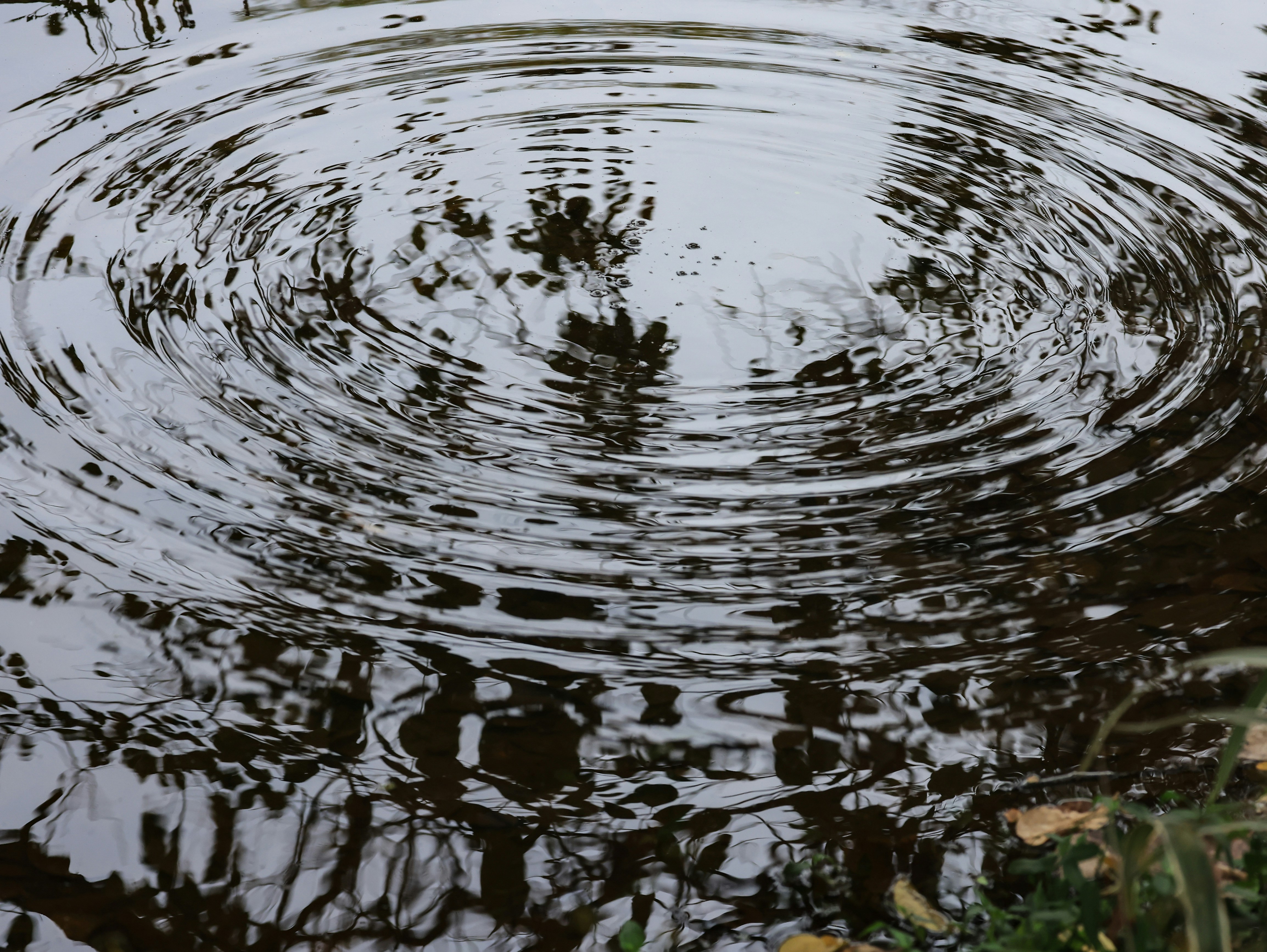 Photo by dickenslin76