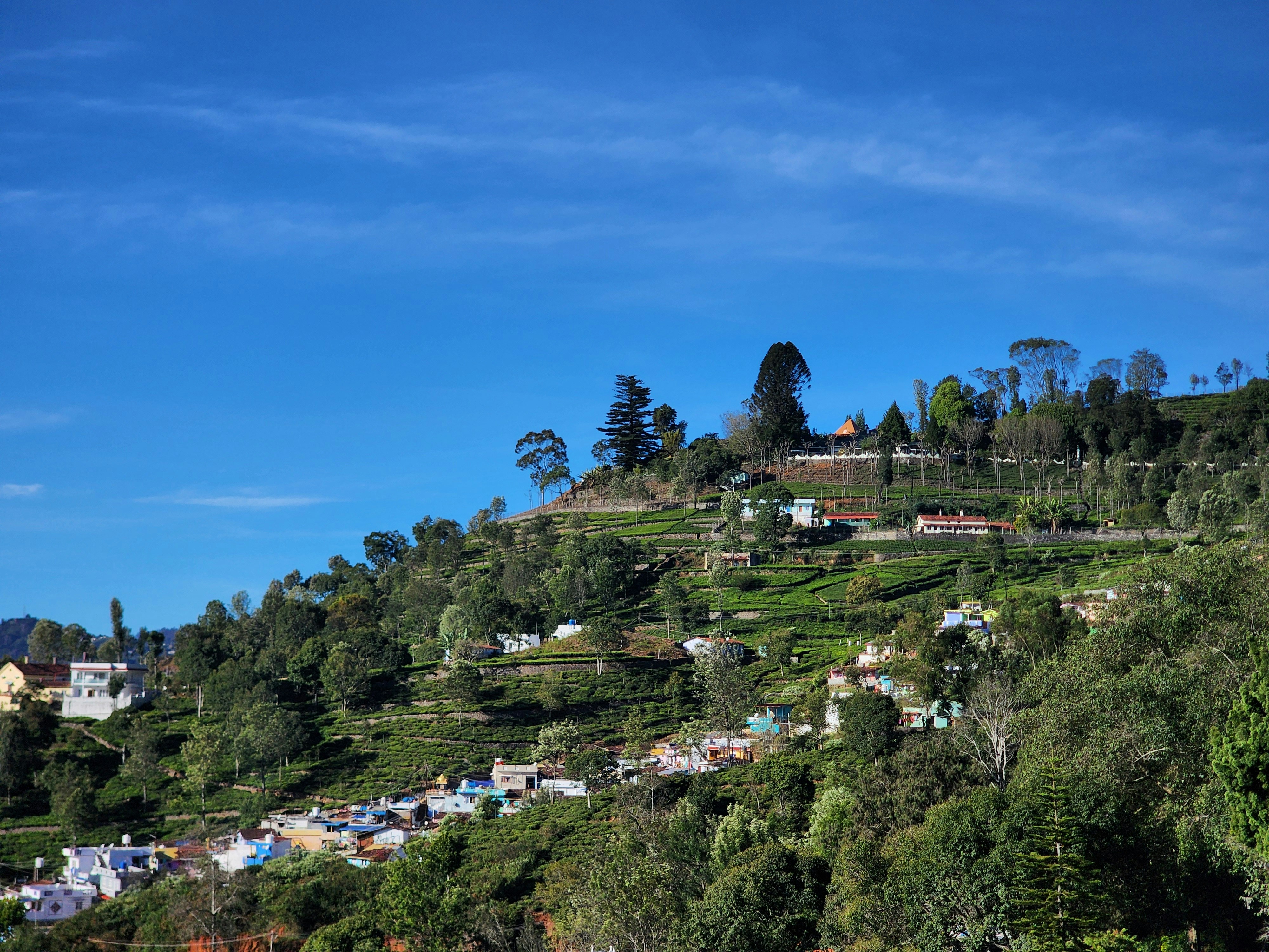 A hill with houses on top of it