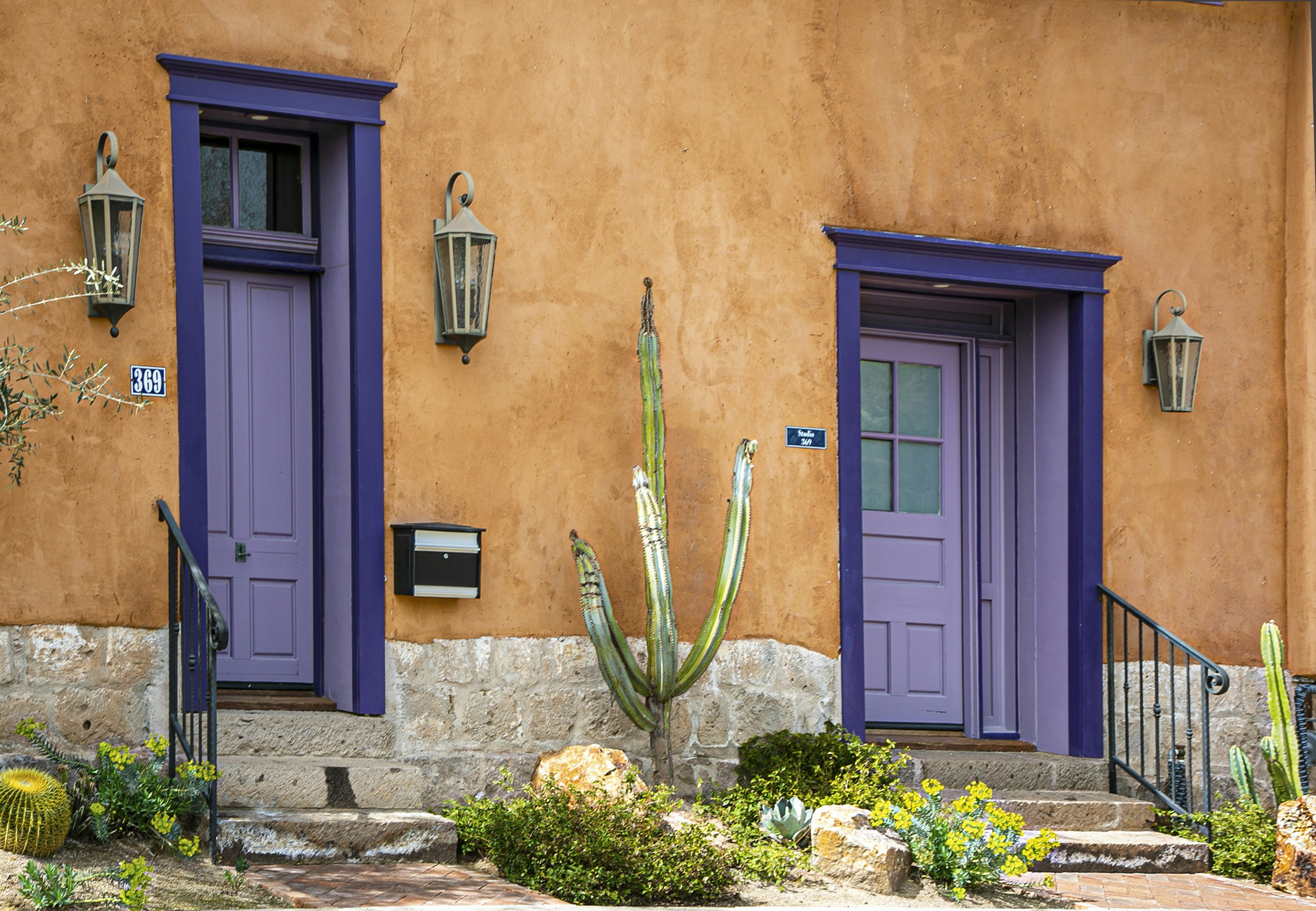 A house with purple doors and a cactus in front of it