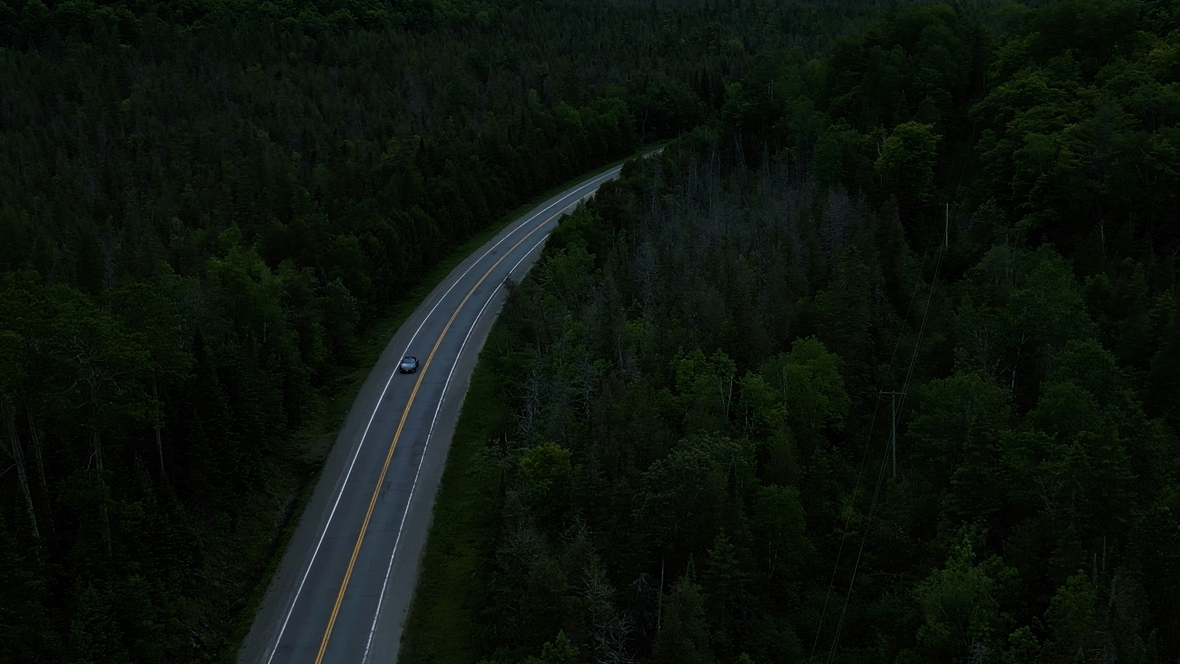 A car driving down a road in the middle of a forest