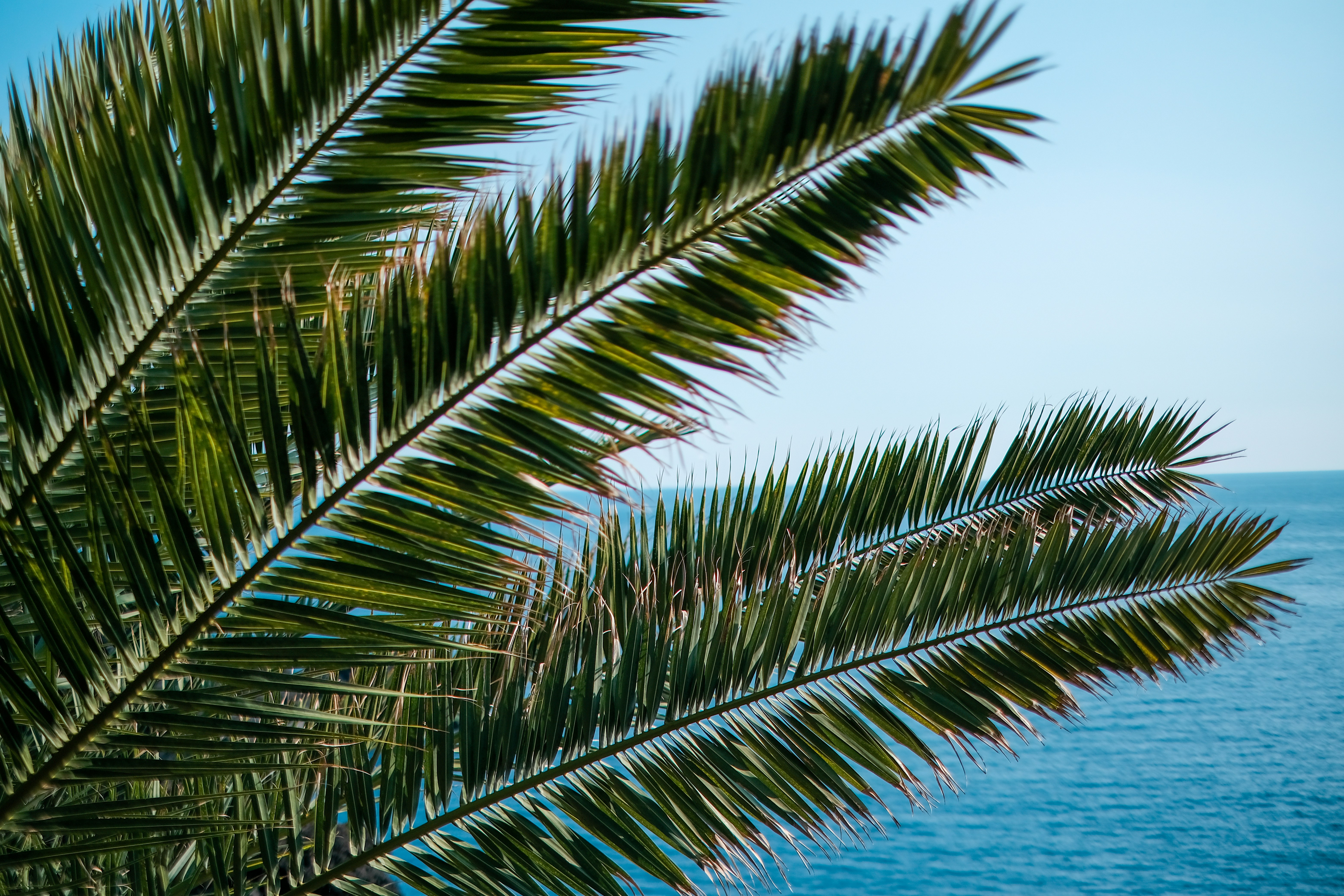 Photo by finn_staygold