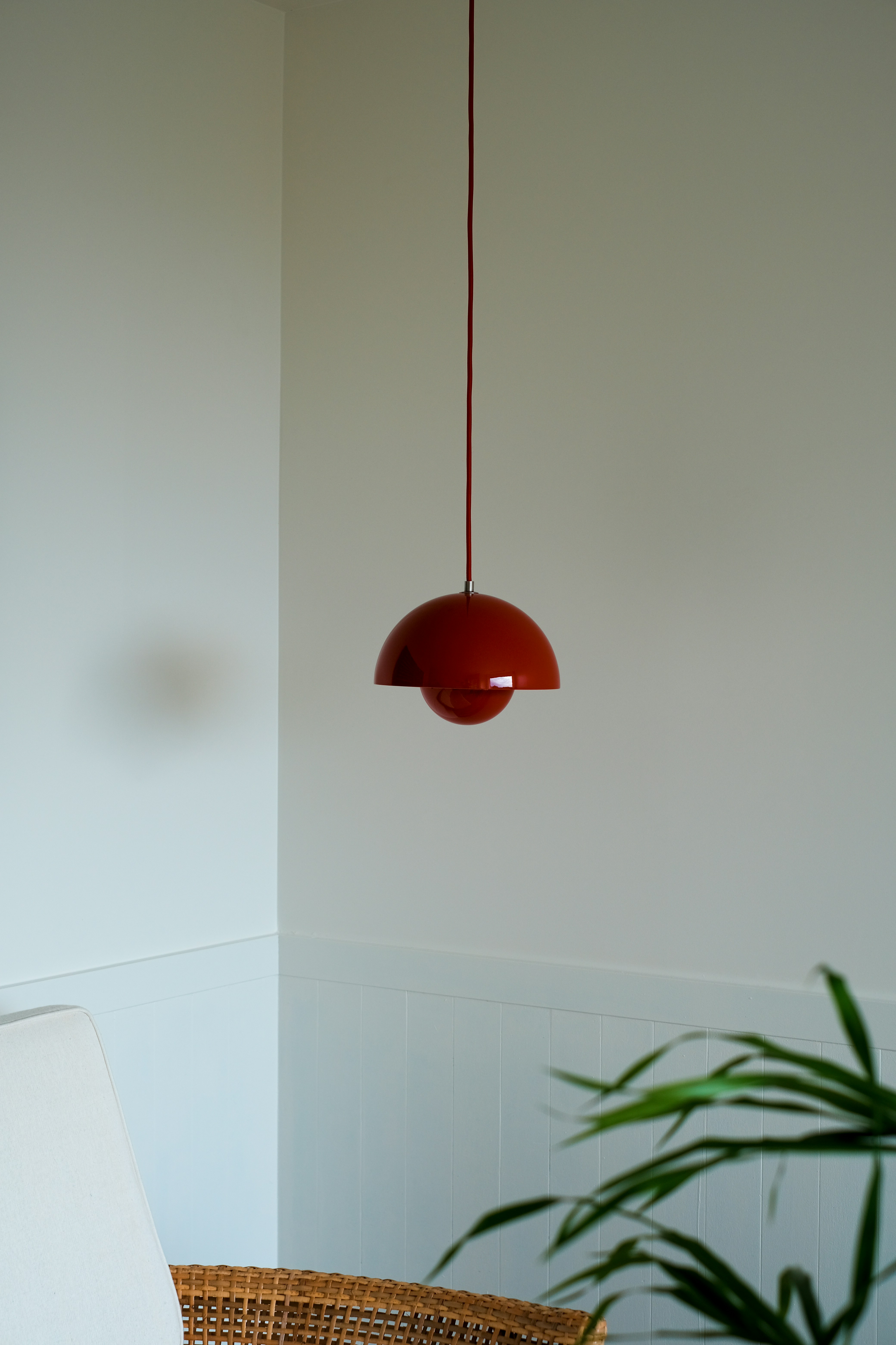 Photo by finn_staygold