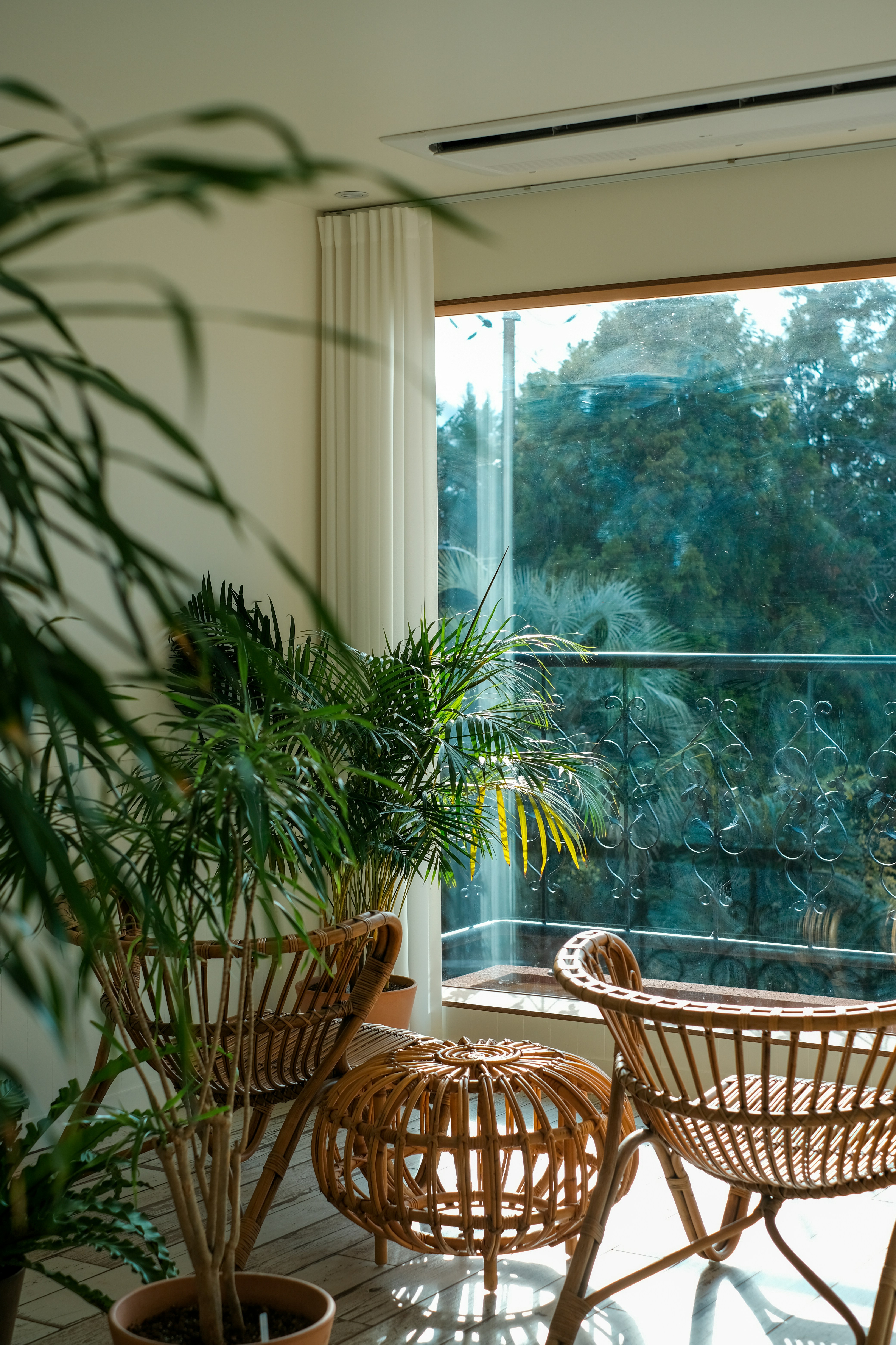 Photo by finn_staygold