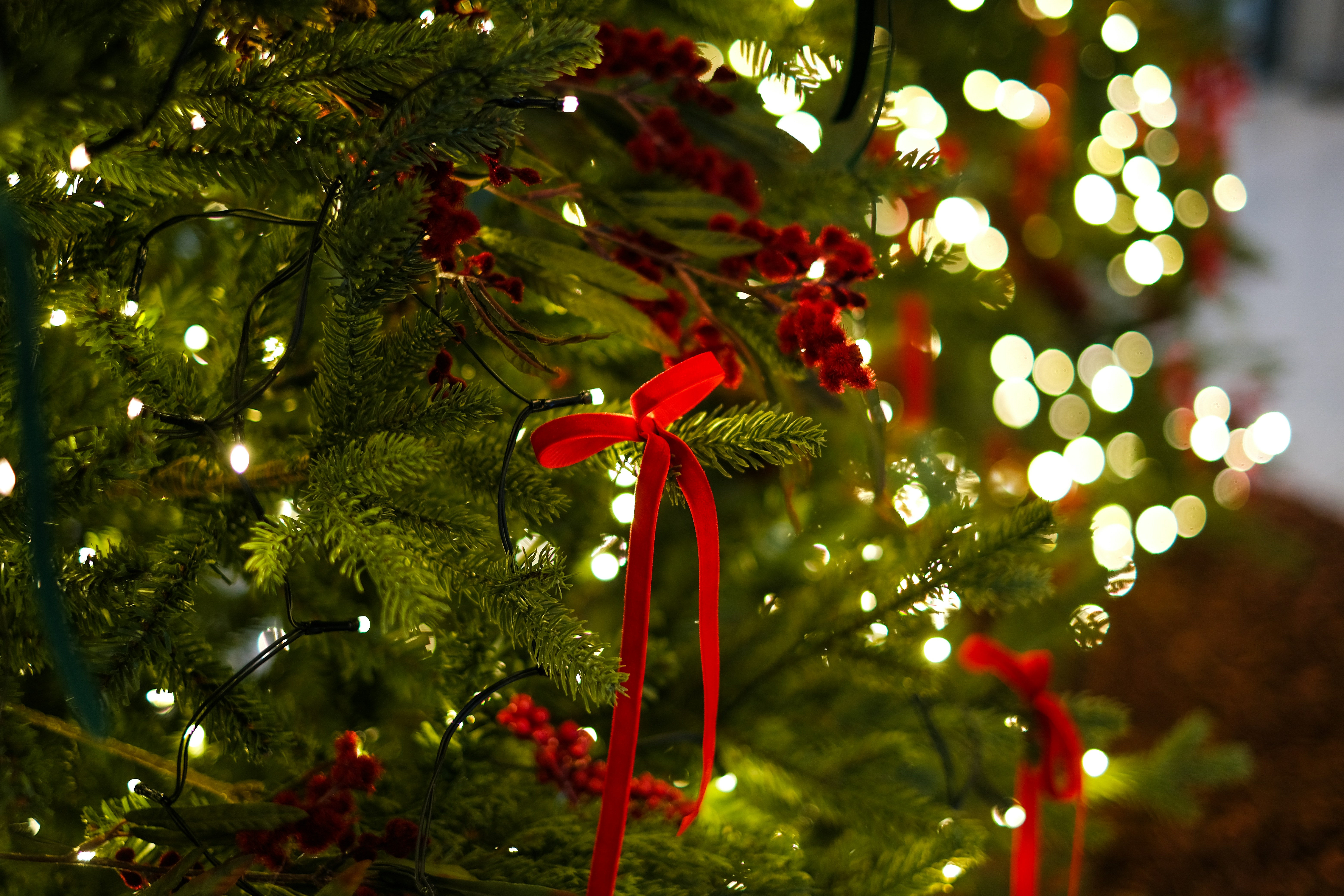 A close up of a christmas tree with lights