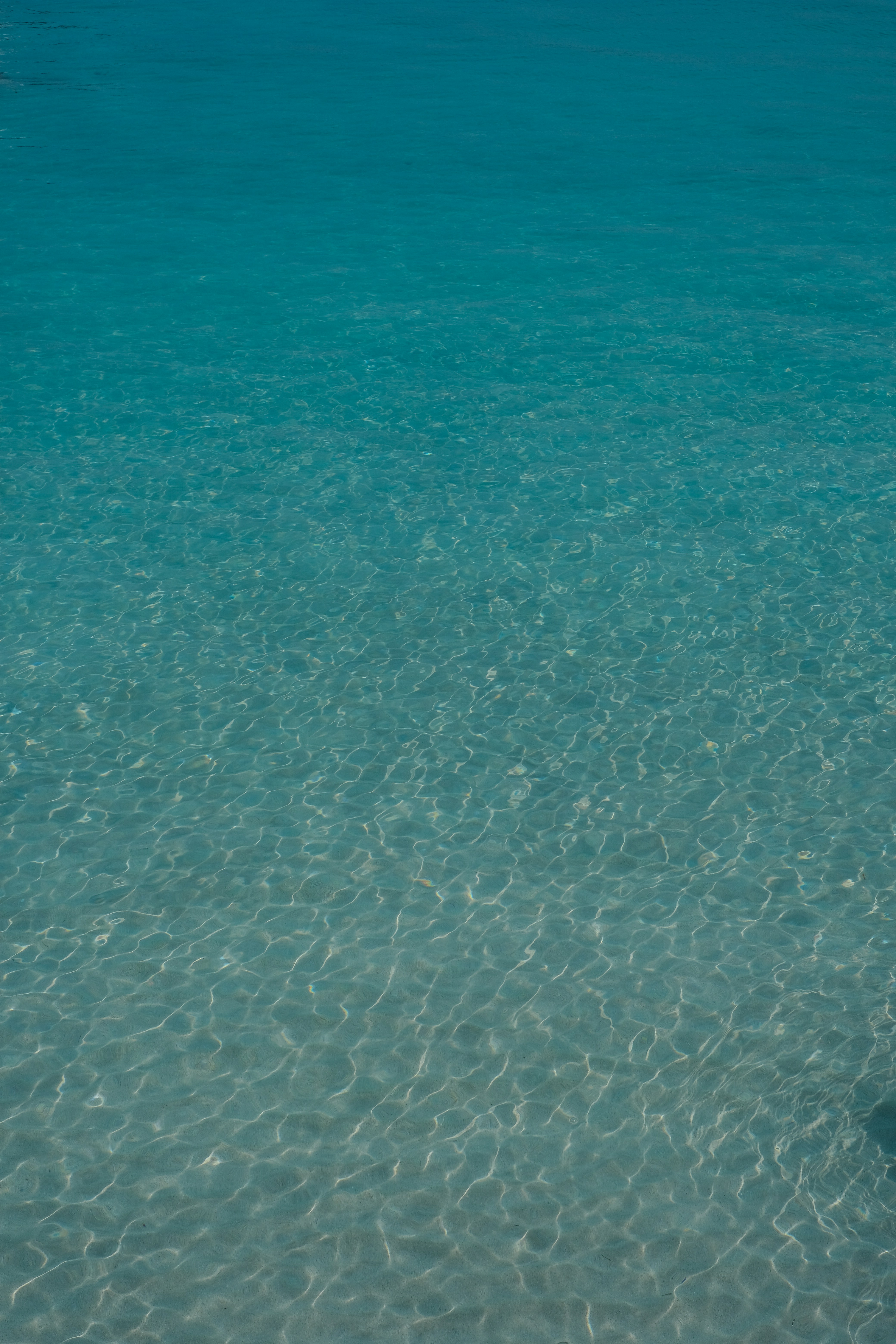 Photo by finn_staygold