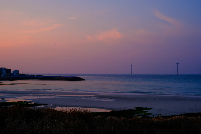 Best Romantic Dinner Spots in Jeju Island for a Night to Remember
