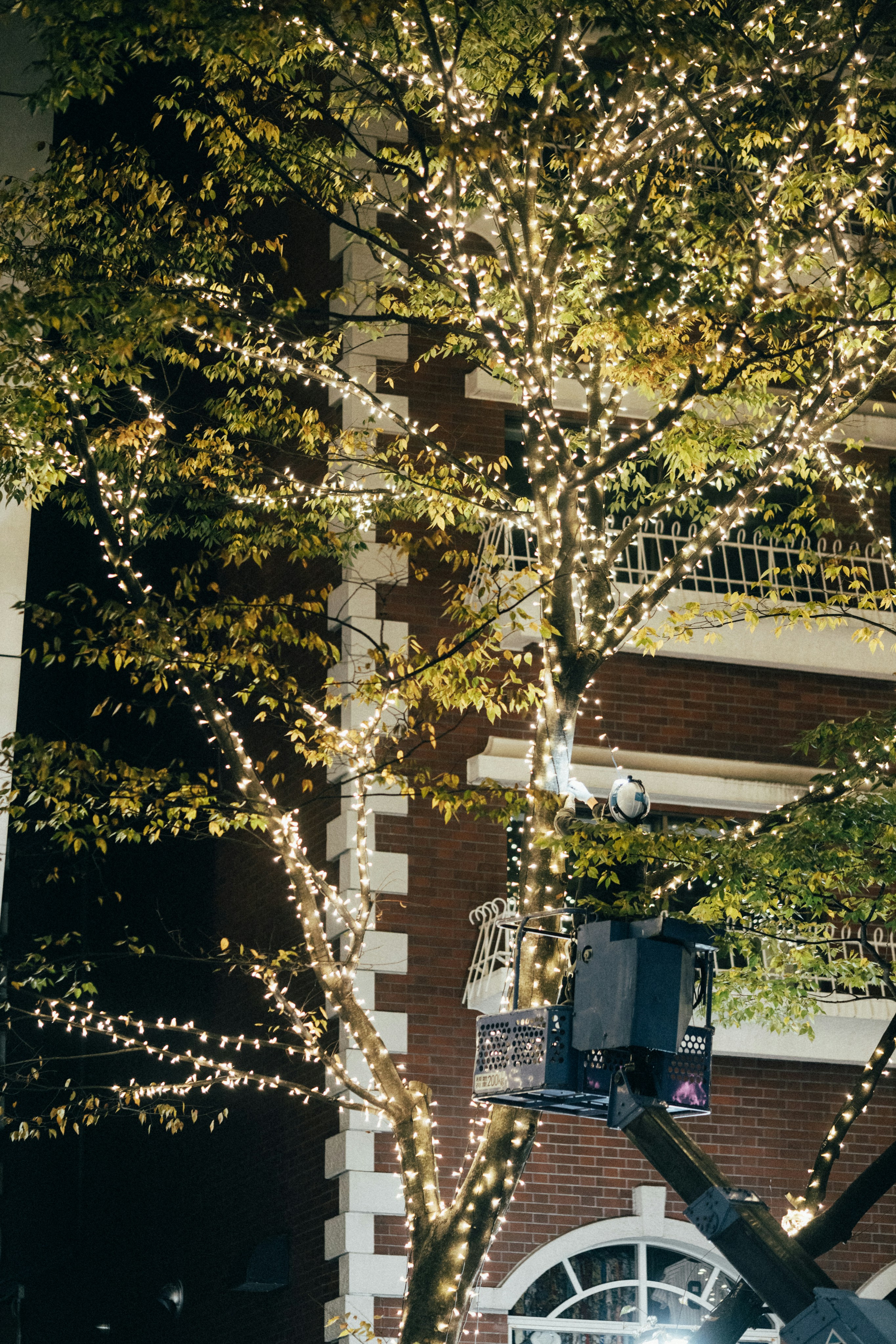 Photo by tsuyoshikozu