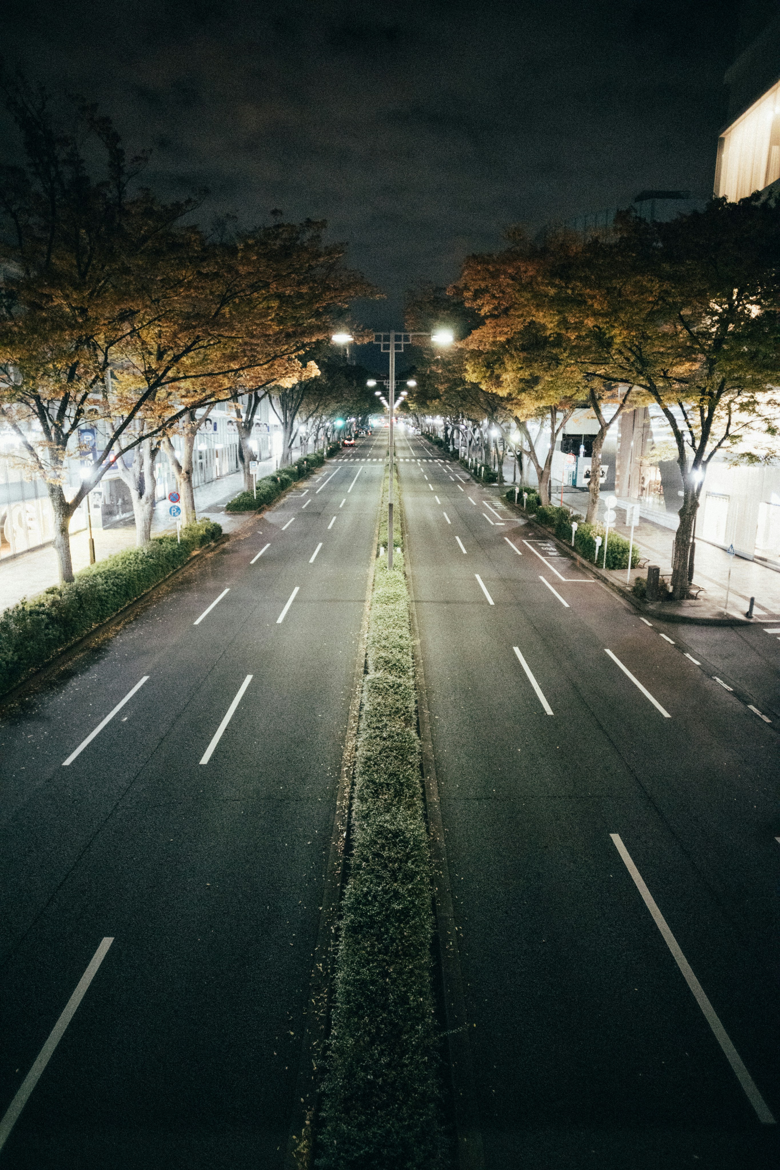 Photo by tsuyoshikozu