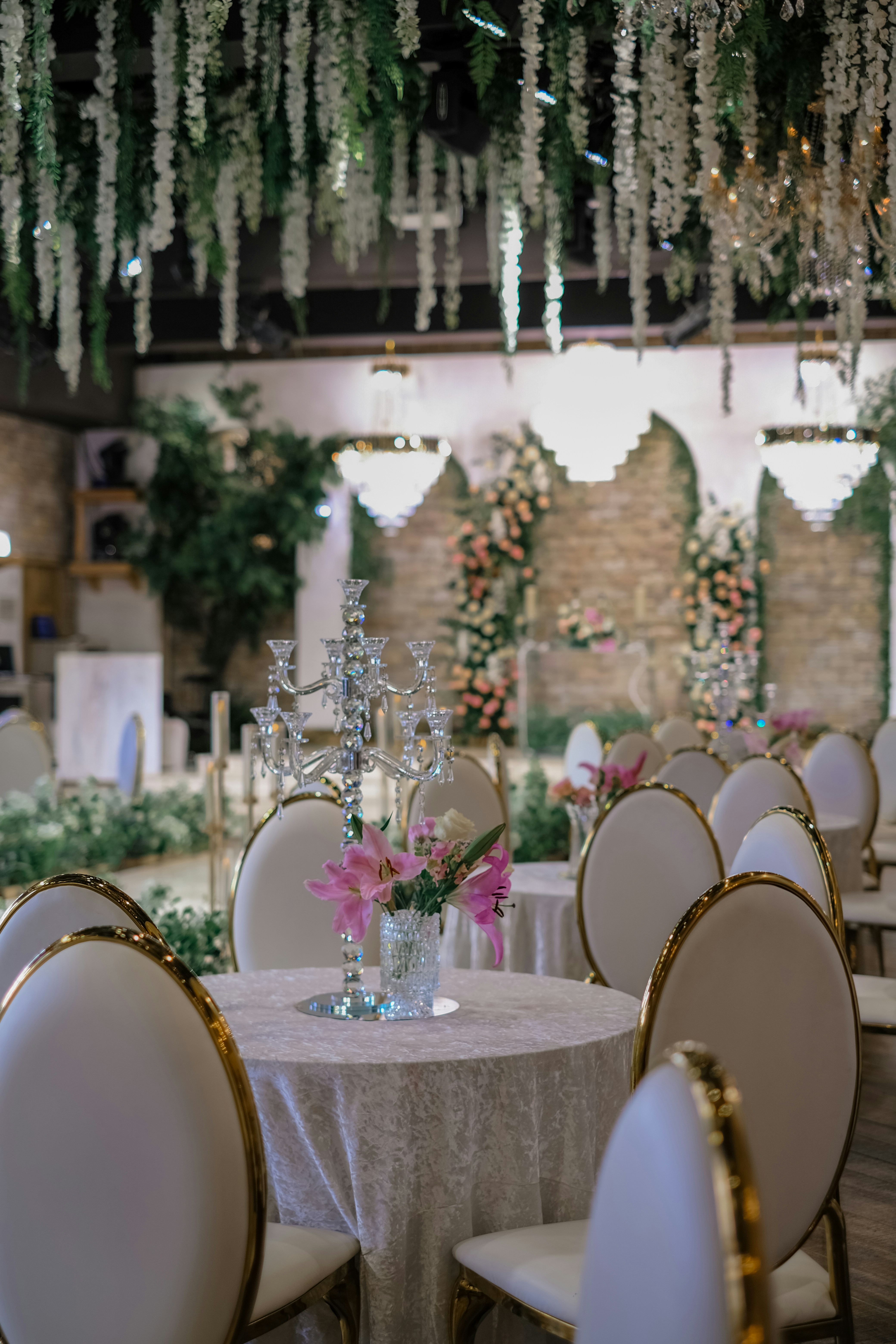 Photo by finn_staygold