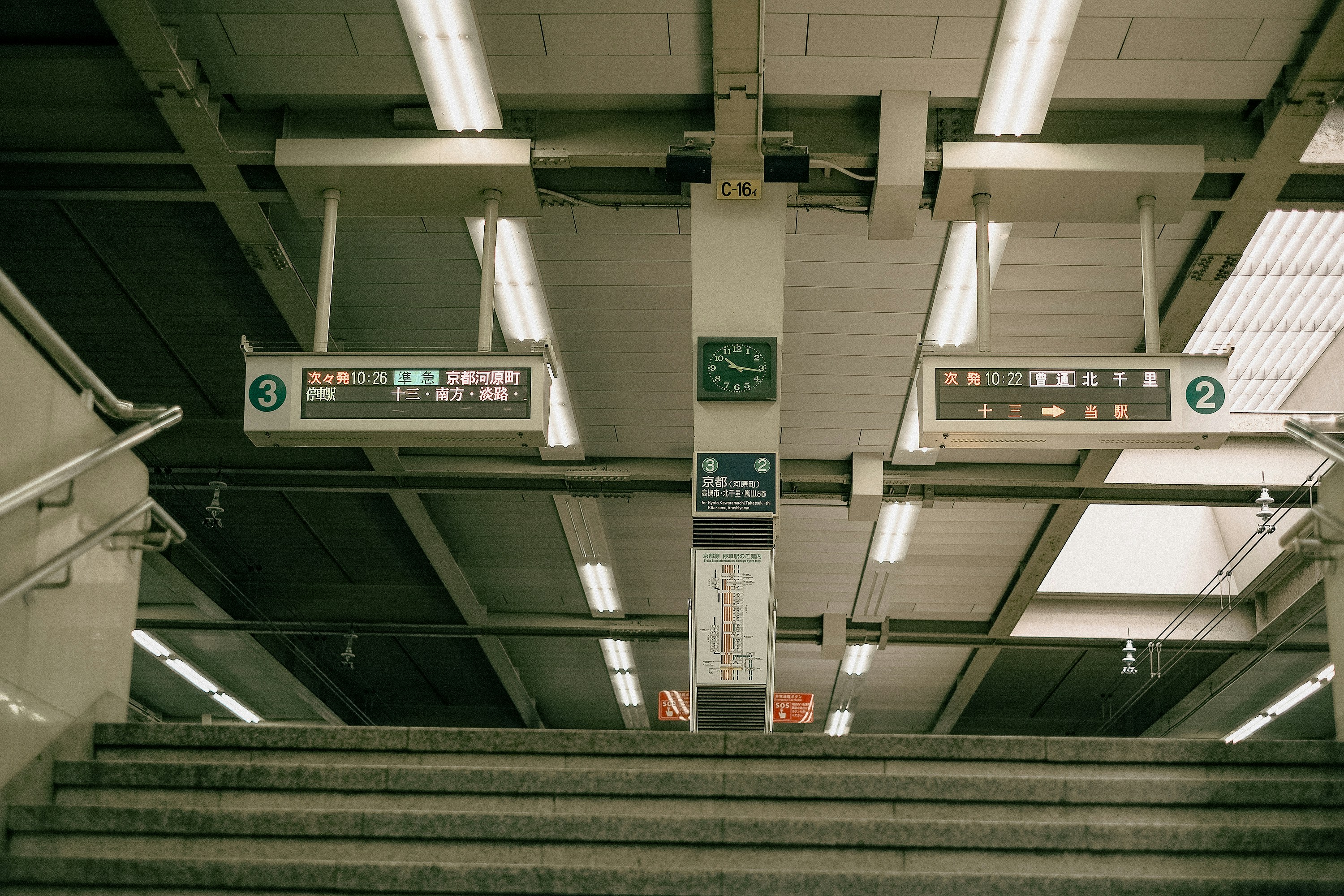 Photo by finn_staygold