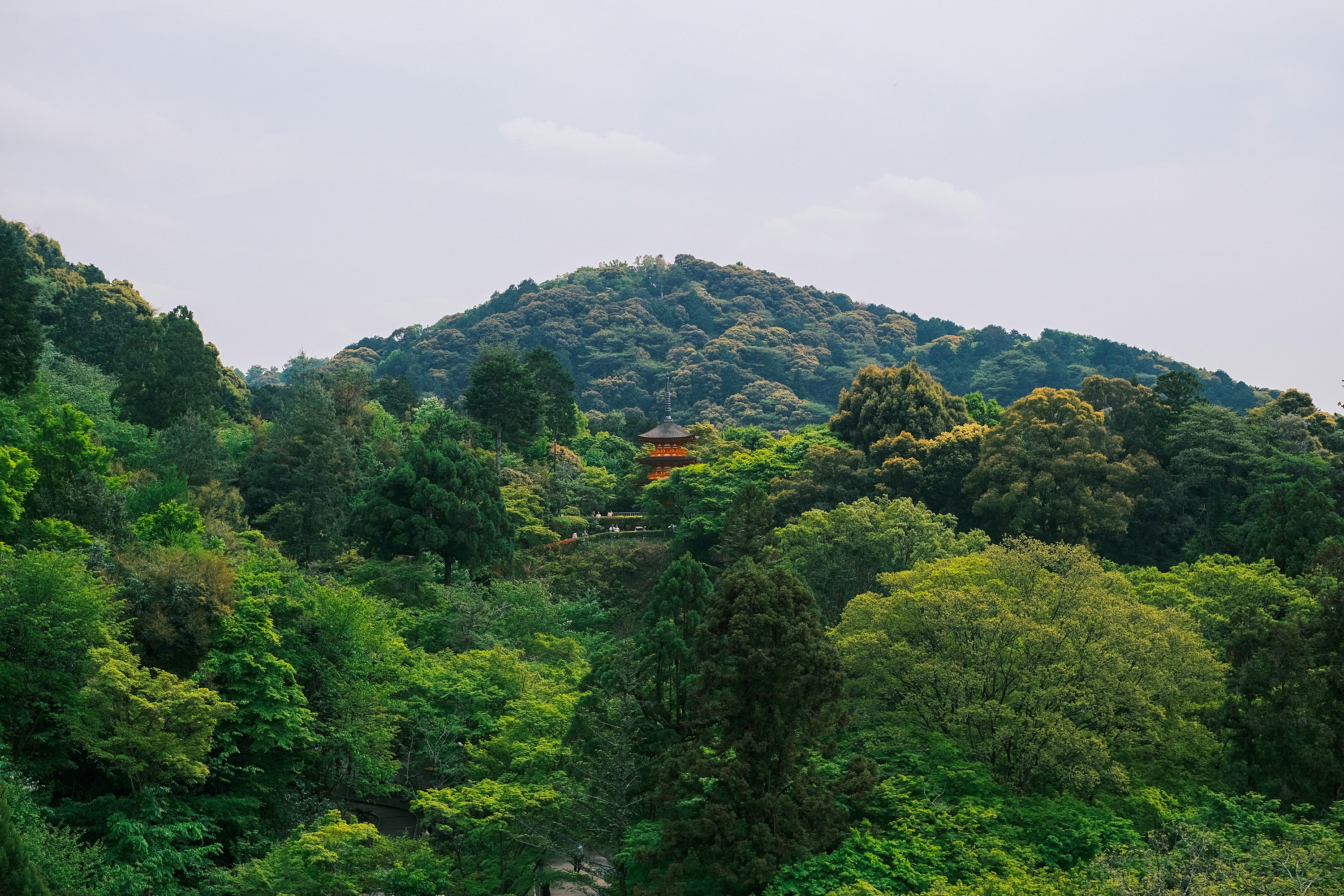 Photo by finn_staygold