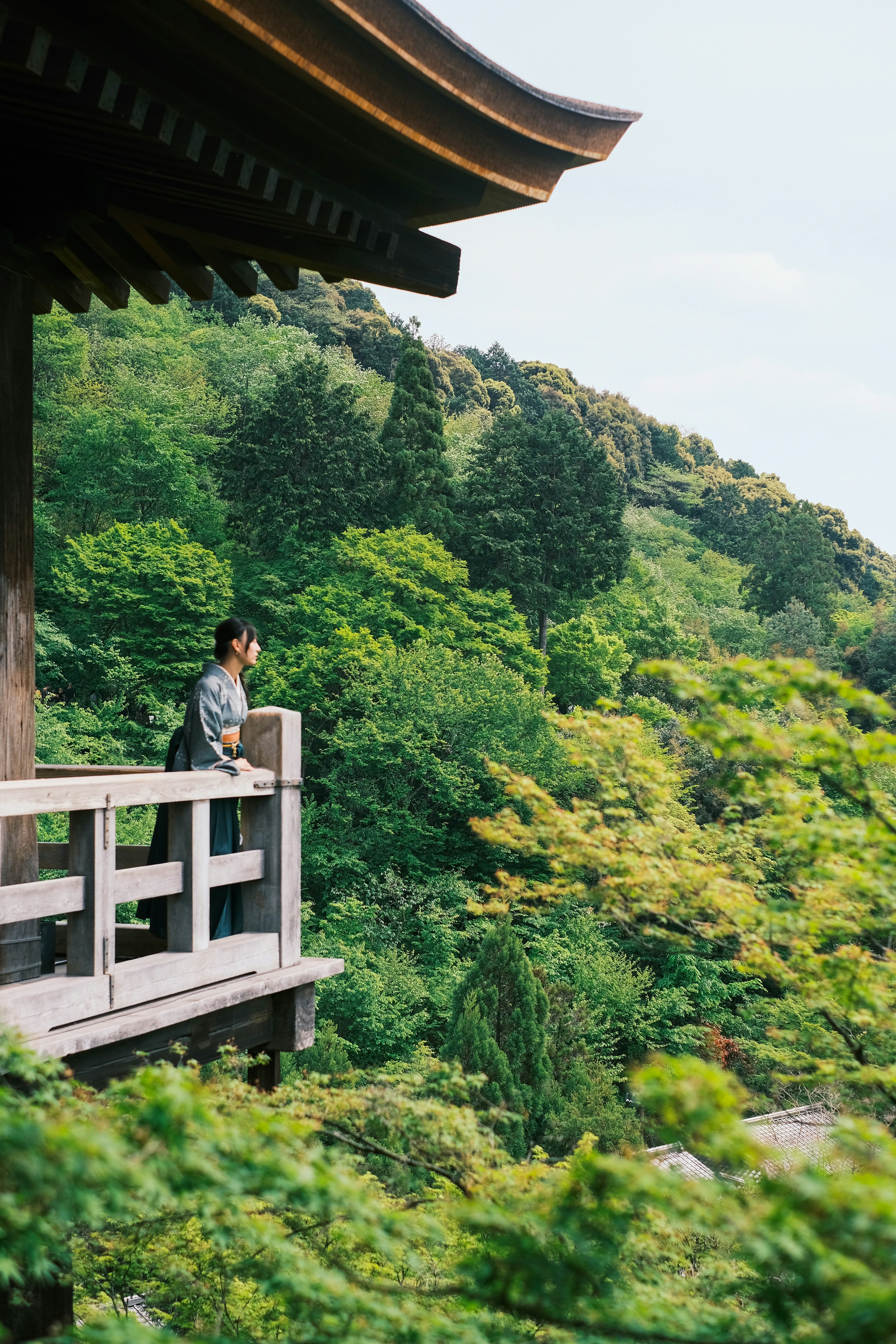 A man standing on a bridge over a lush green hillside