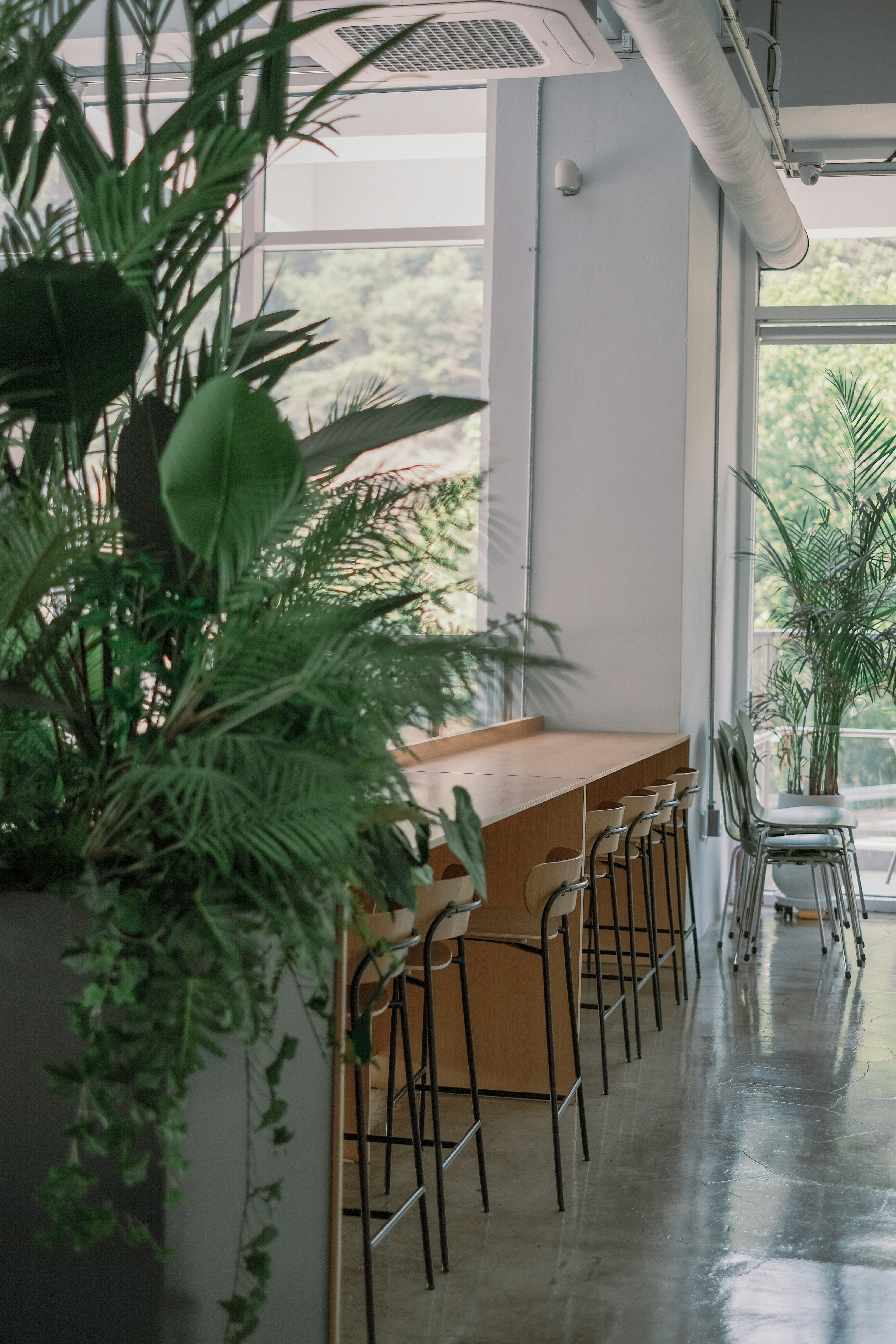 Photo by finn_staygold