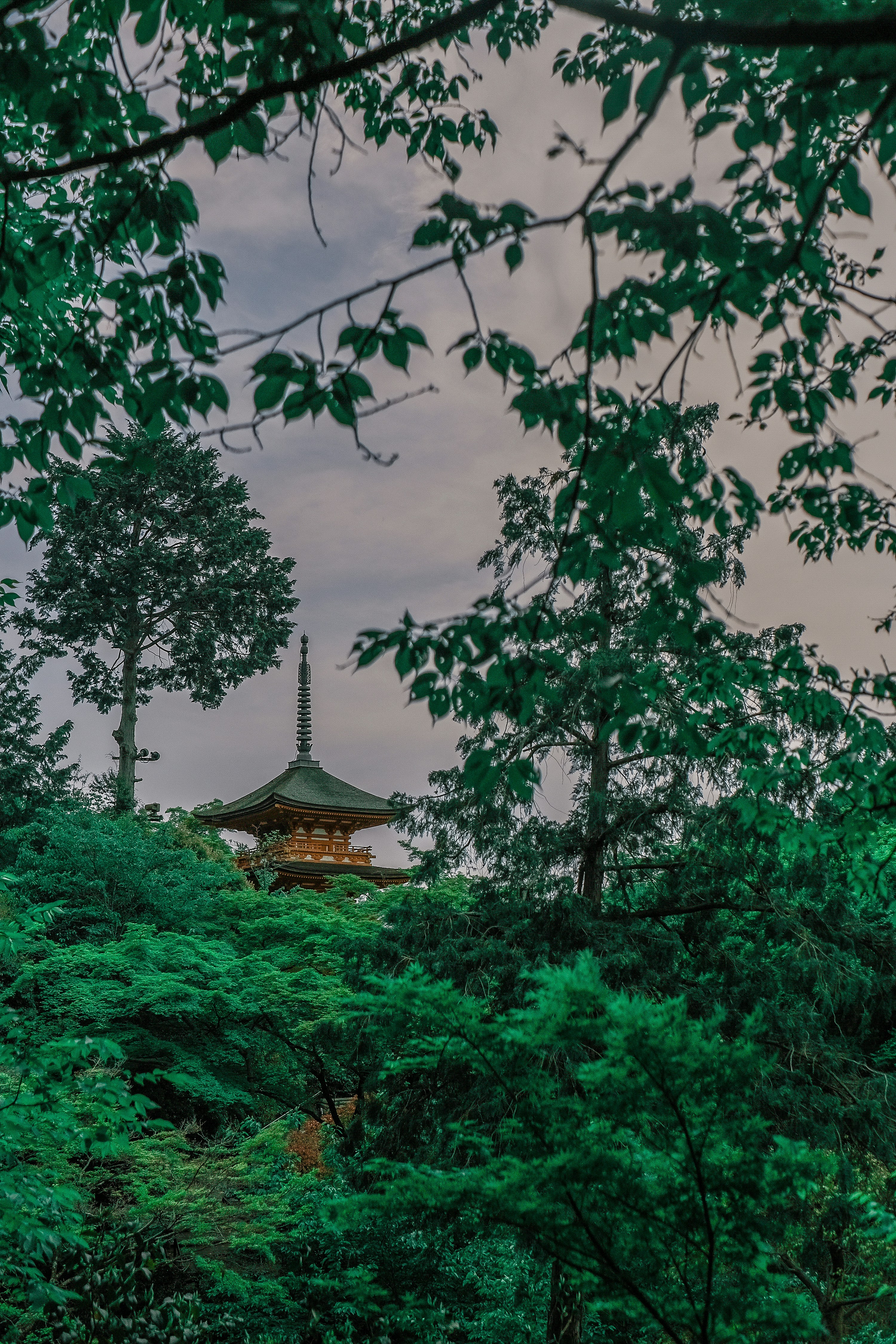 Photo by finn_staygold