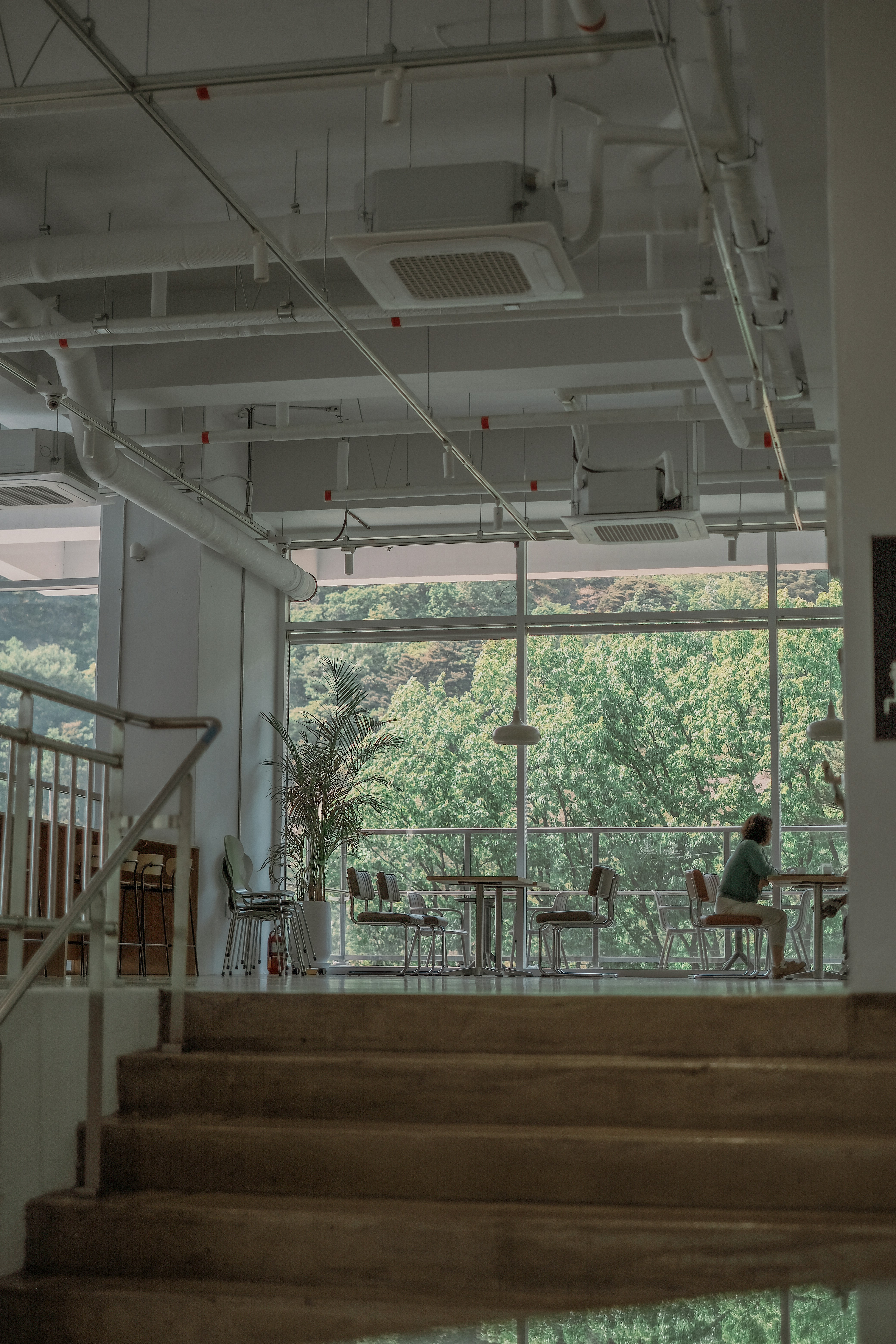 Photo by finn_staygold