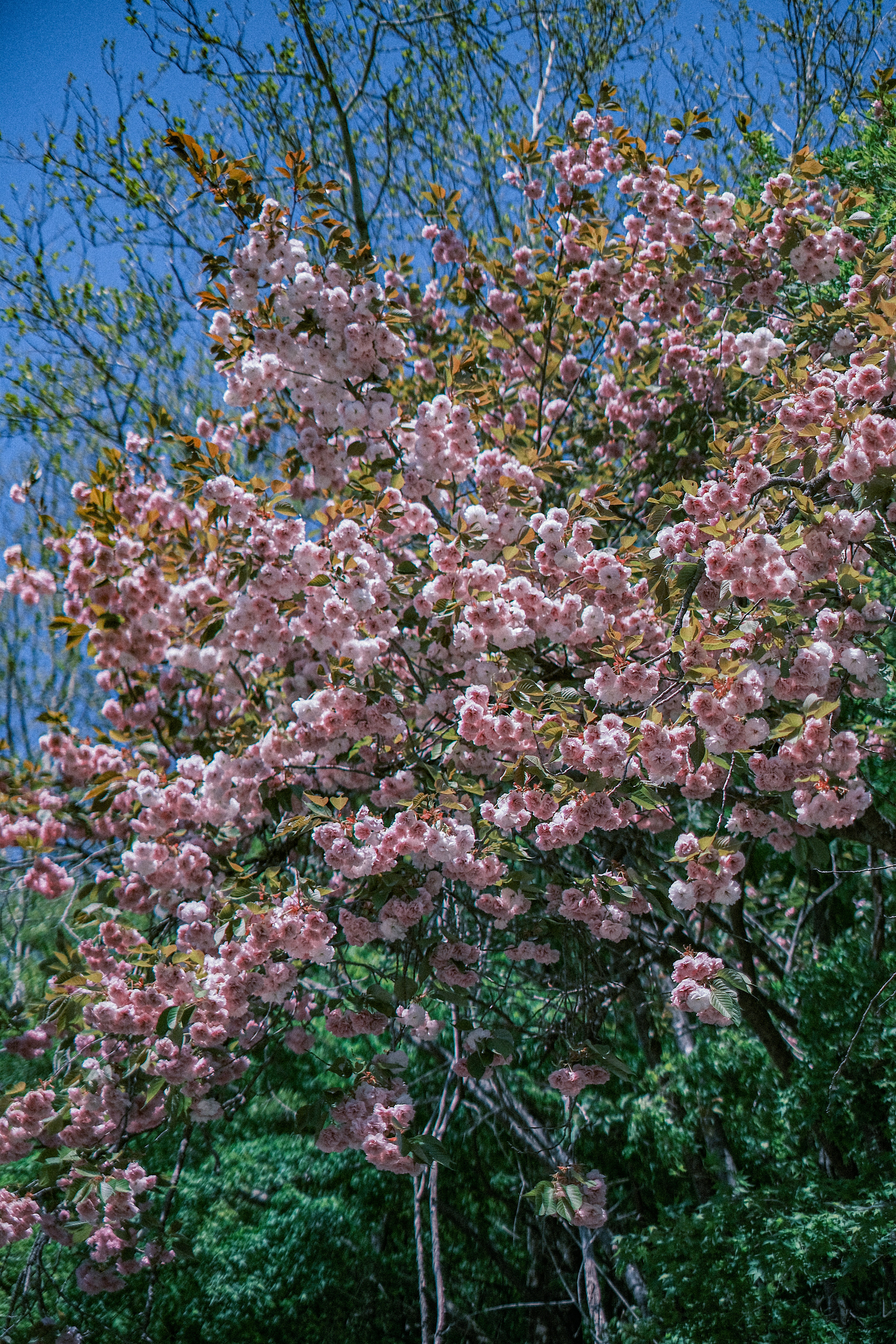 Photo by finn_staygold