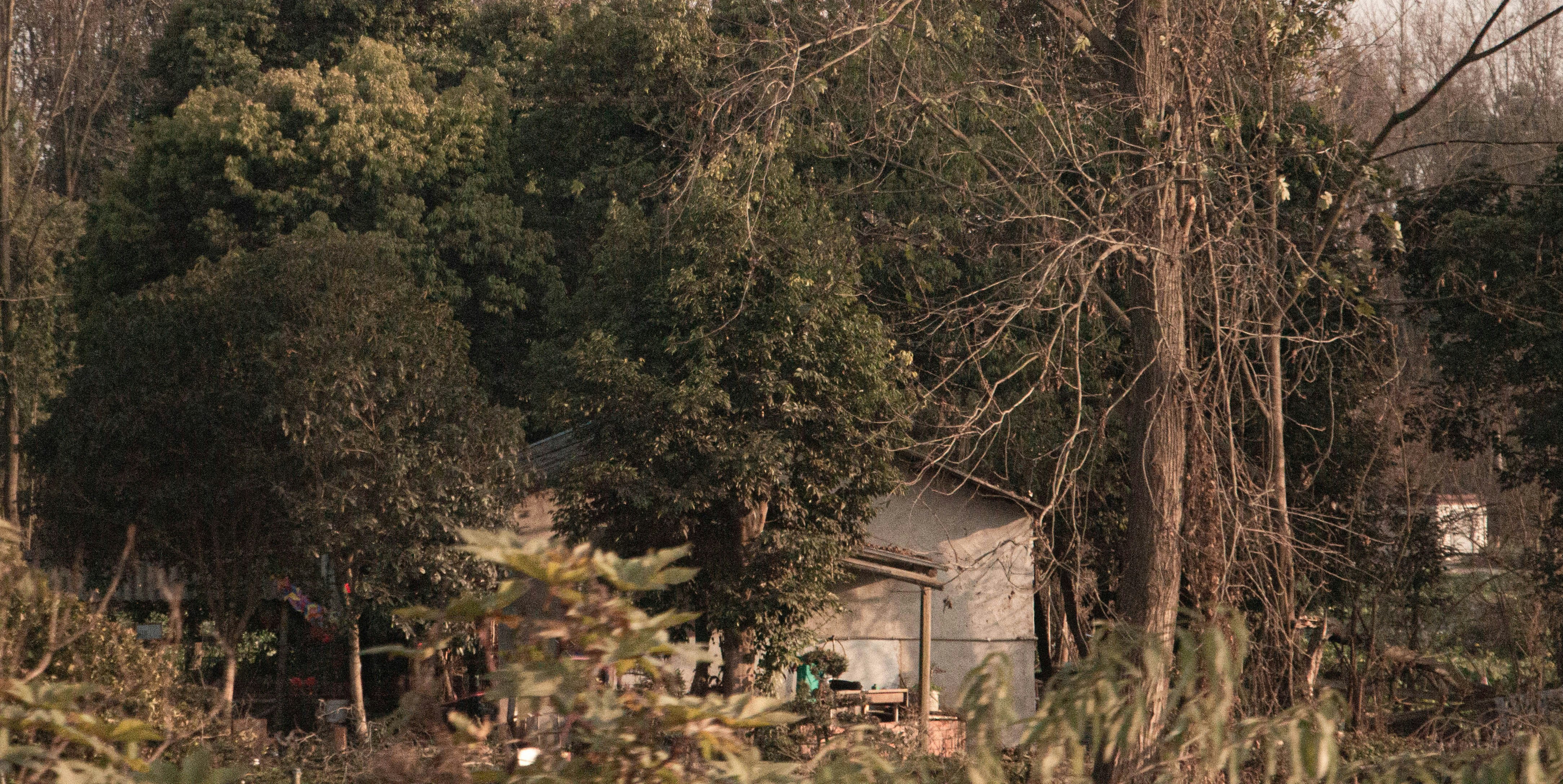 Photo by maro_of_sengu