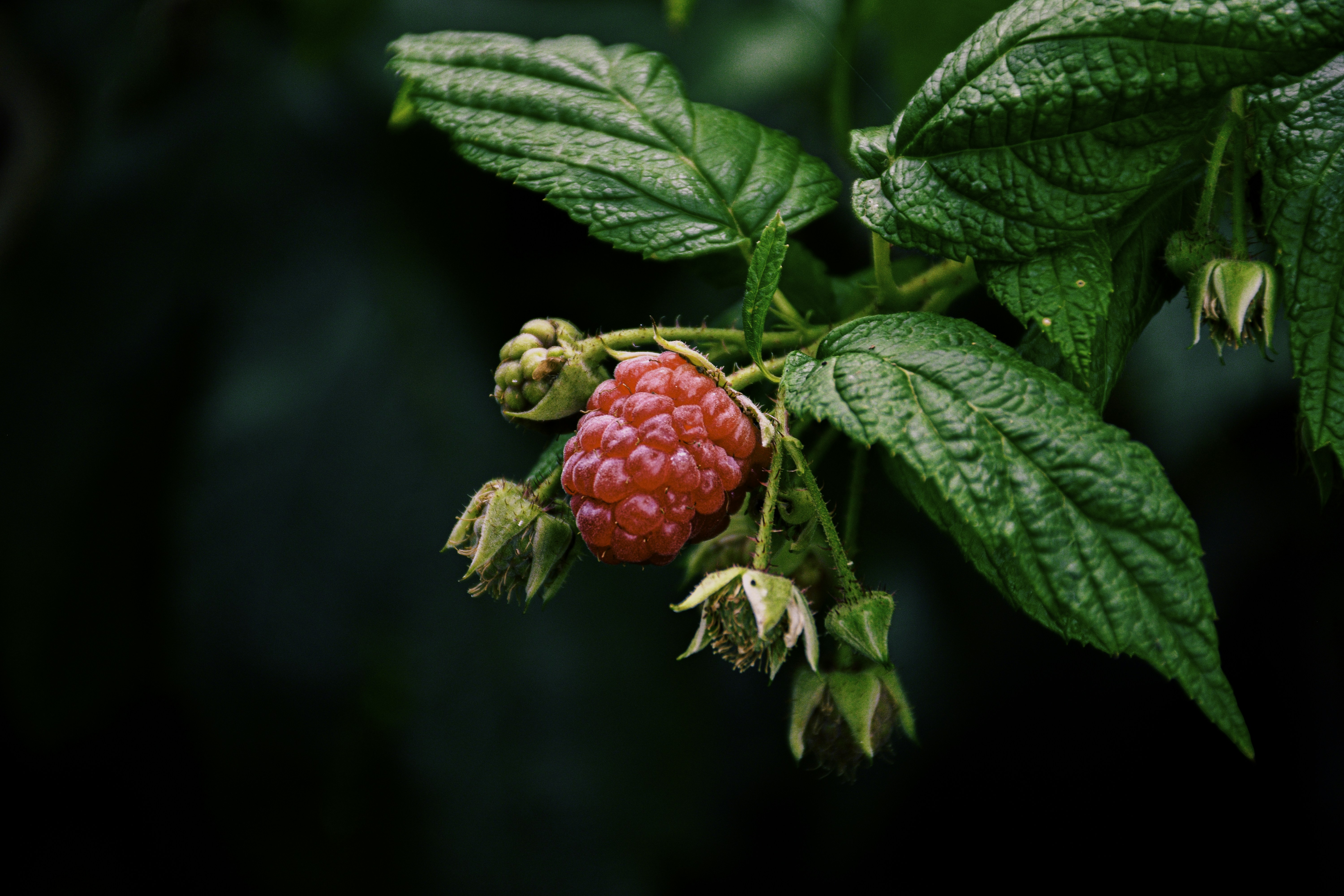 Photo by adam_skrinnikoff