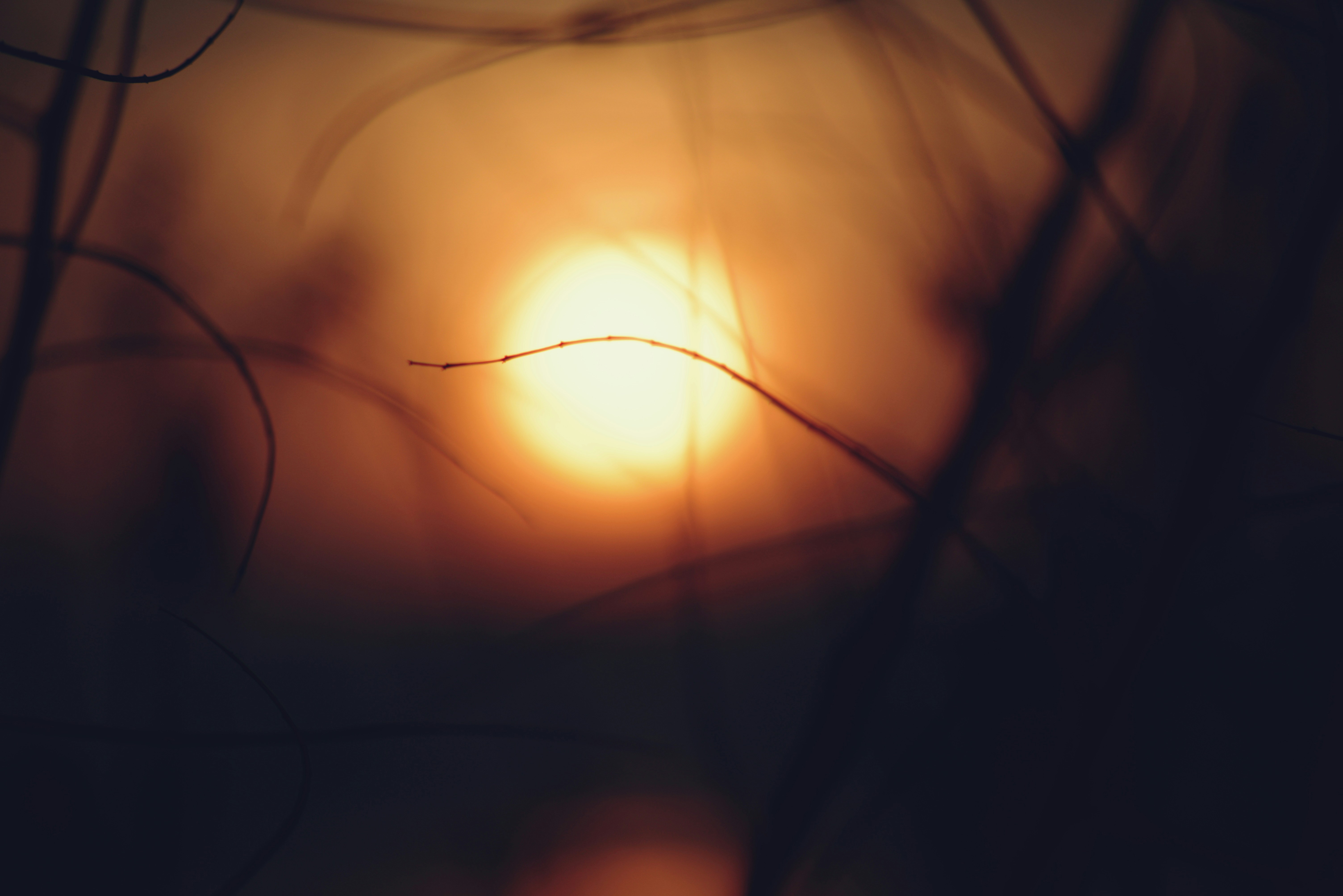 Photo by cherstve_pechivo